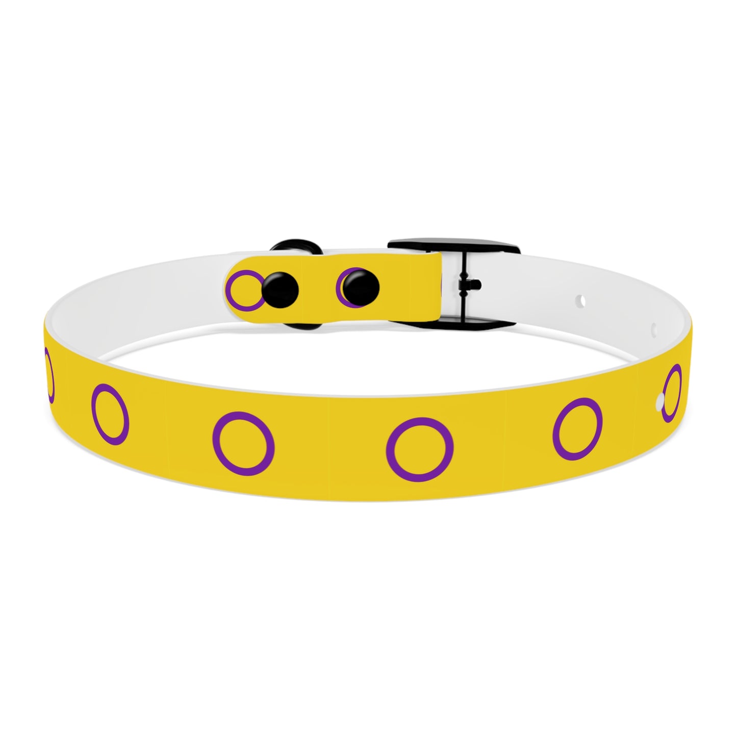 Intersex Pride Flag Dog Collar