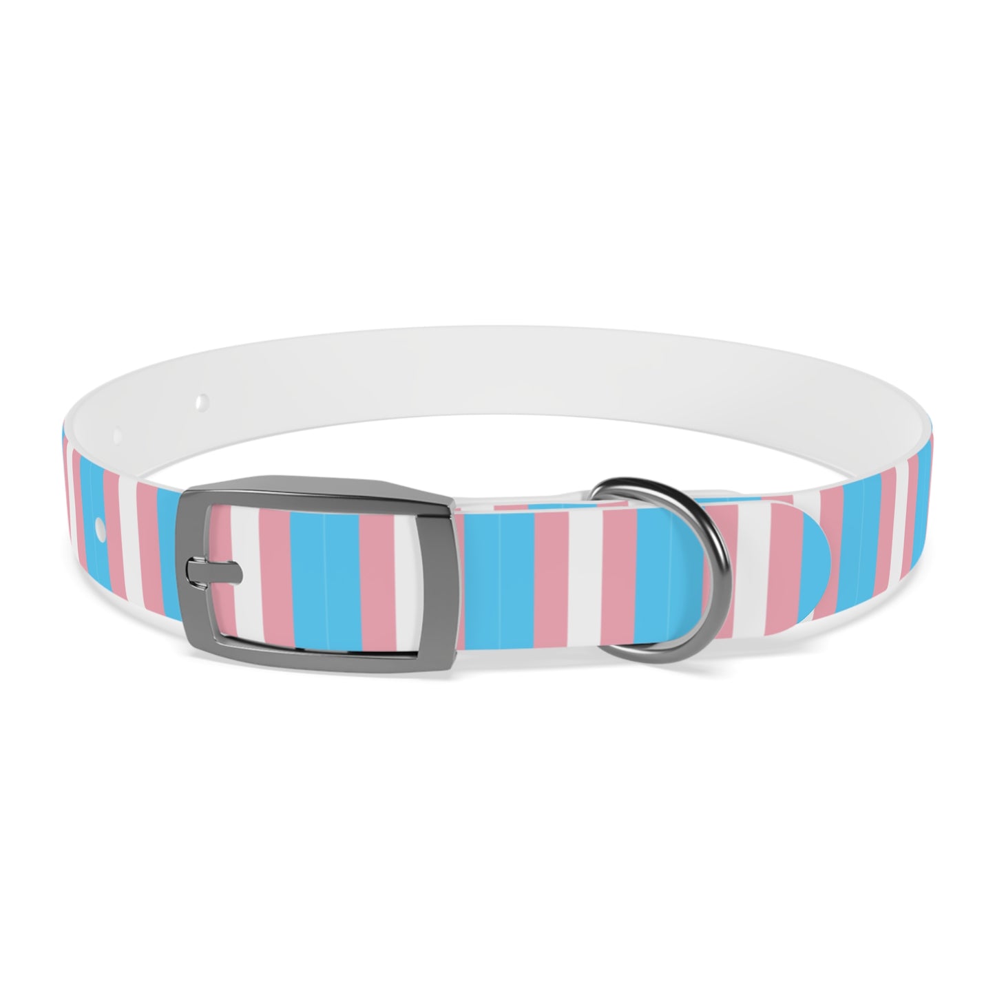 Transgender Pride Flag Dog Collar