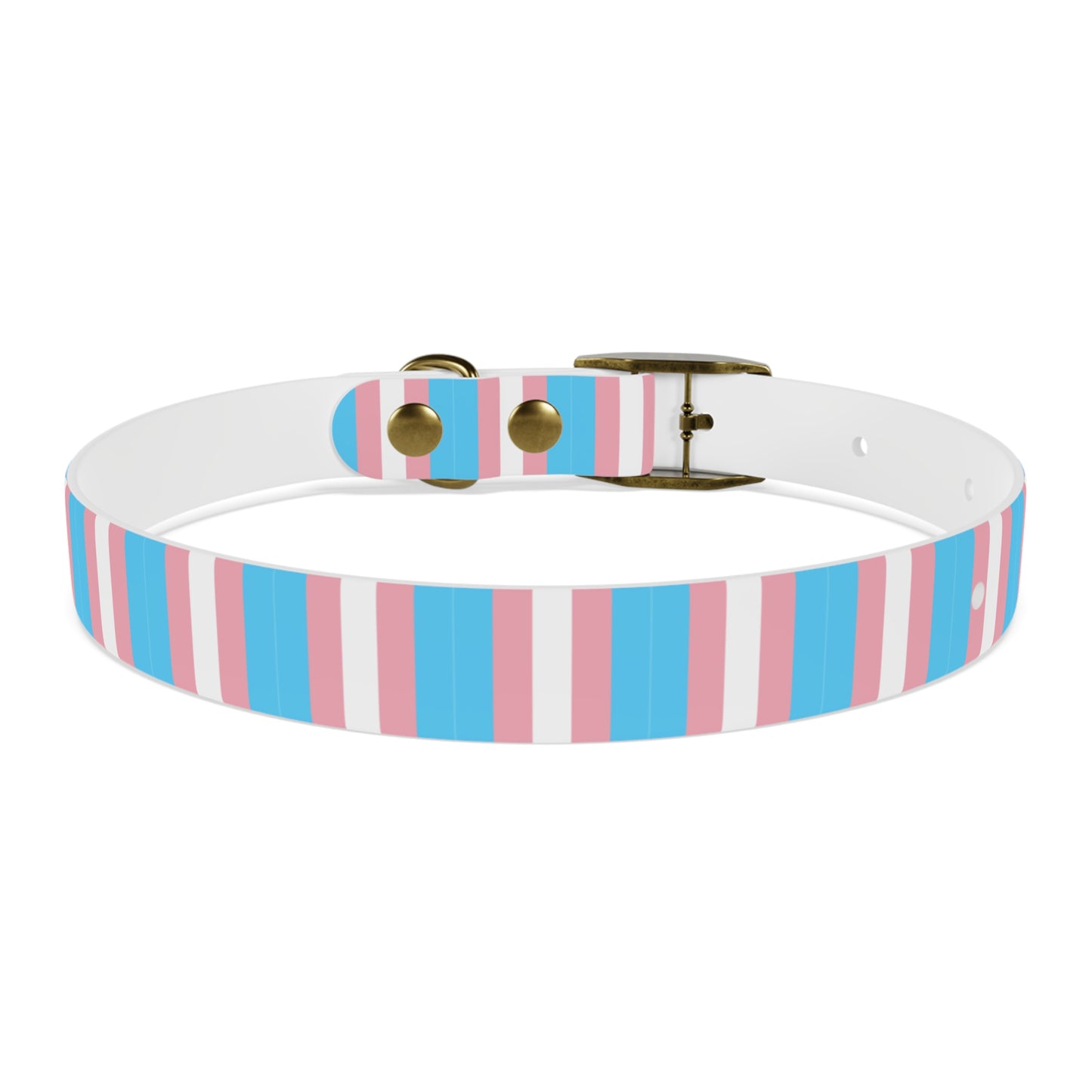 Transgender Pride Flag Dog Collar