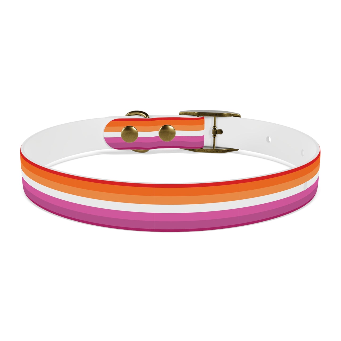 Lesbian Pride Flag Dog Collar