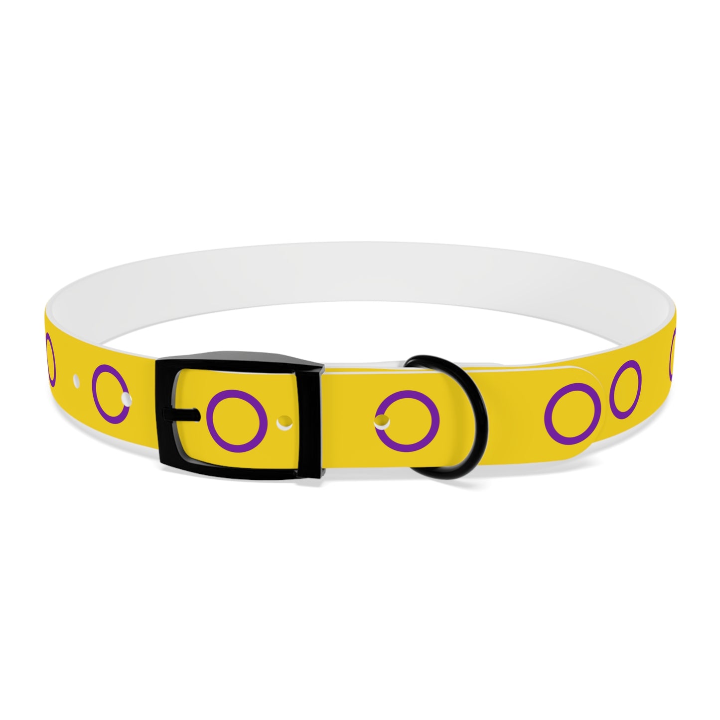 Intersex Pride Flag Dog Collar
