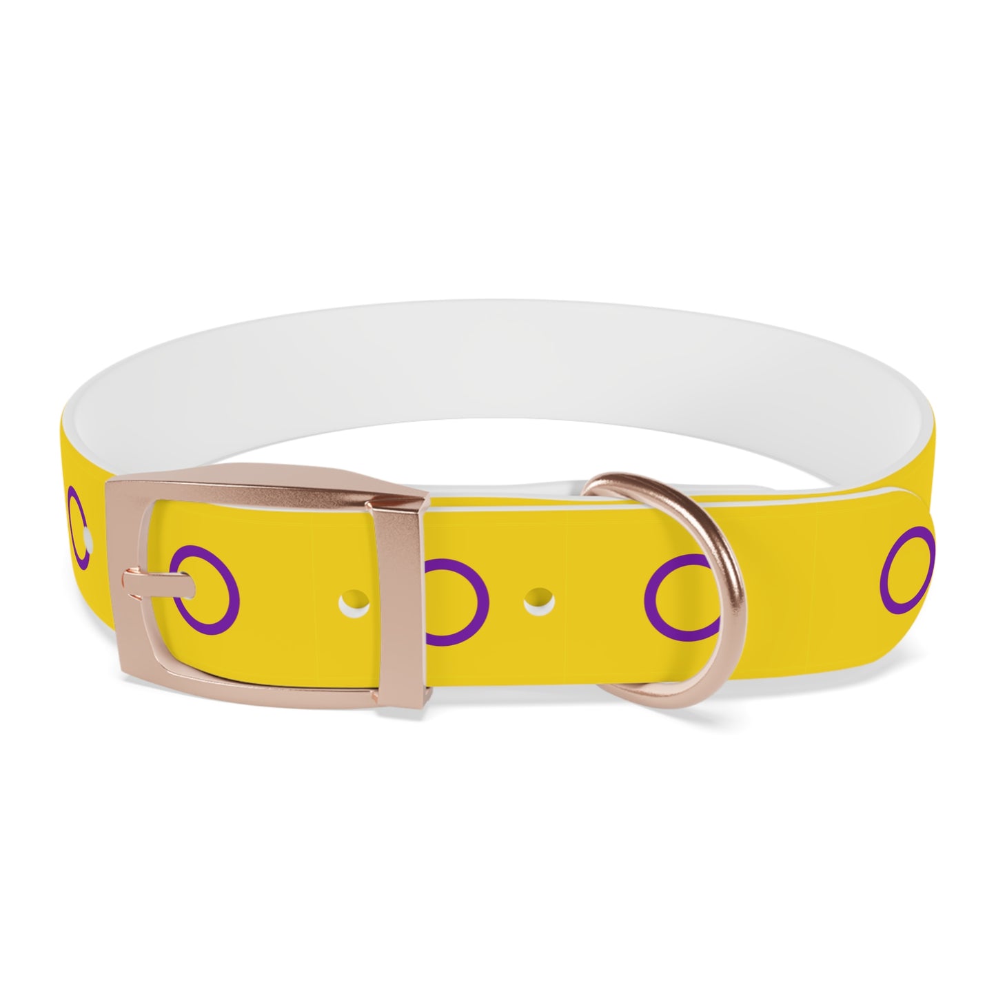 Intersex Pride Flag Dog Collar