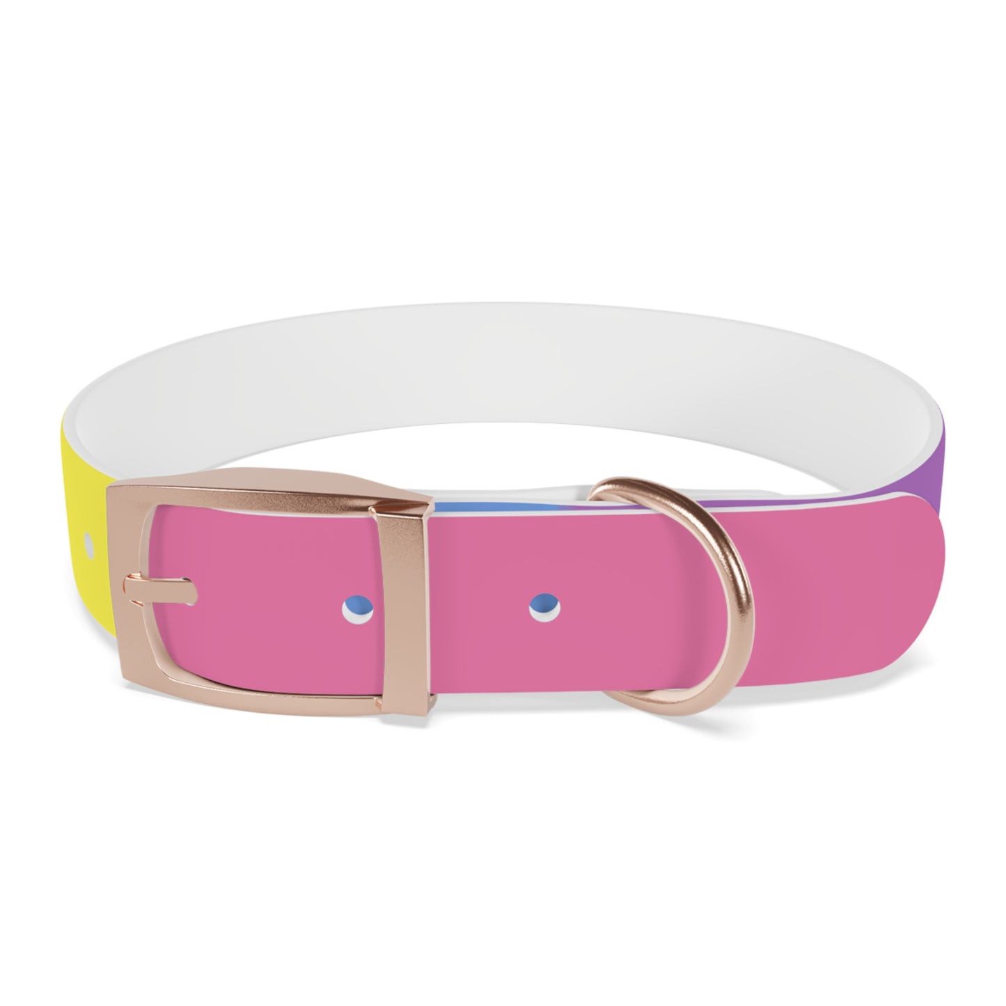 Bigender Pride Flag Dog Collar