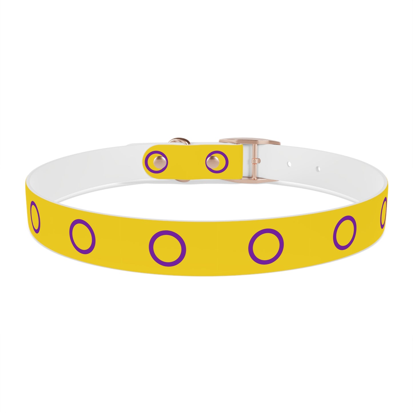 Intersex Pride Flag Dog Collar