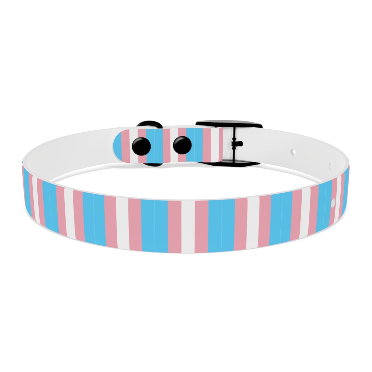 Transgender Pride Flag Dog Collar