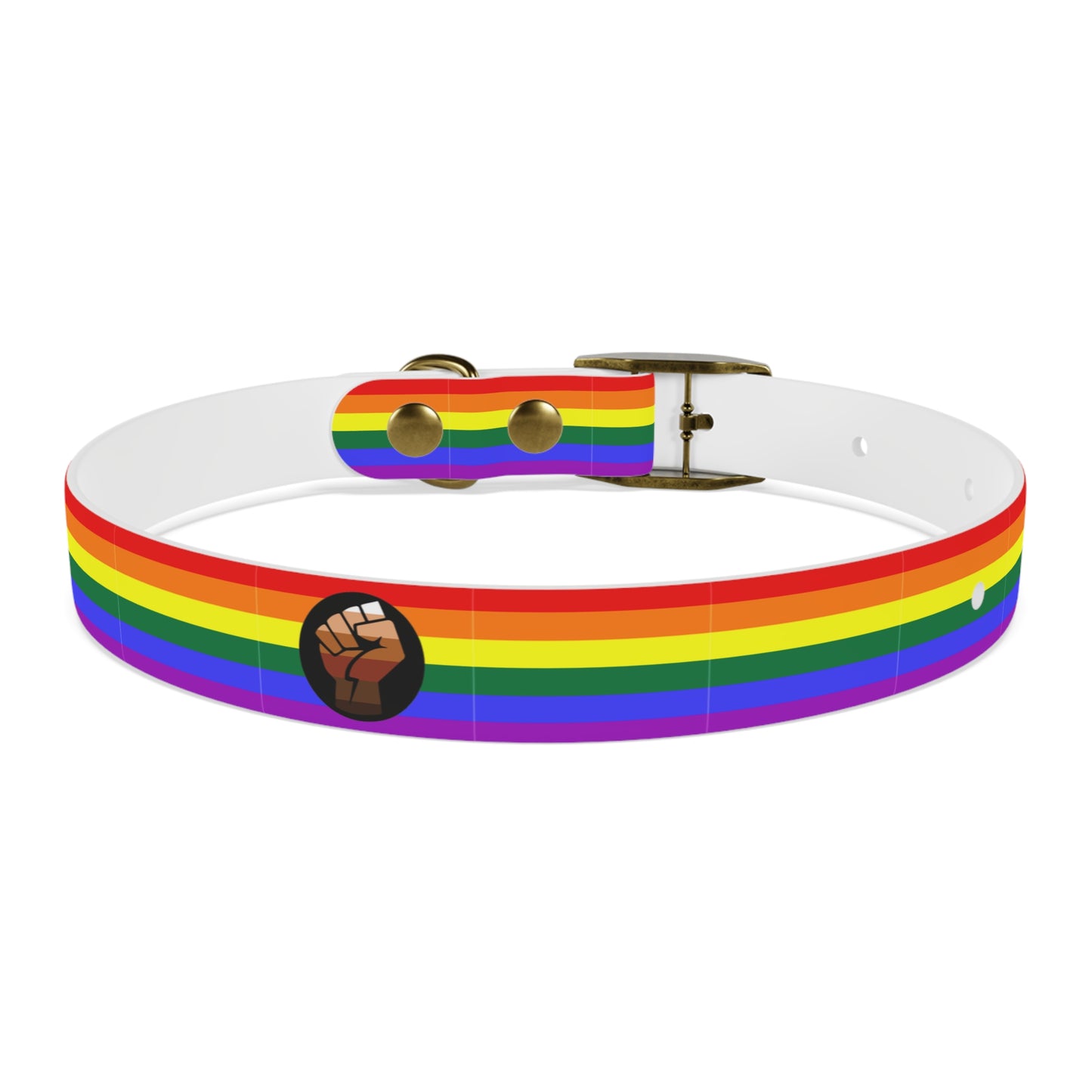 QPOC Pride Flag Dog Collar
