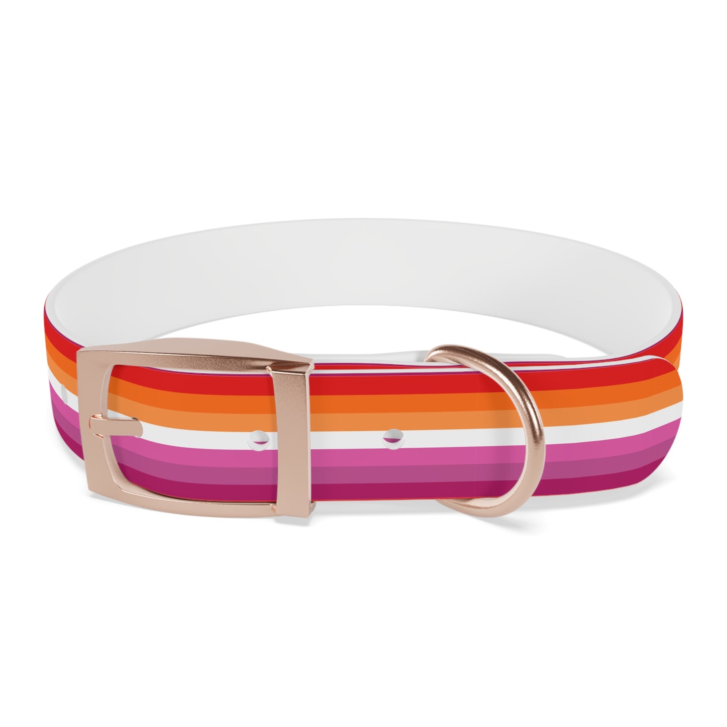 Lesbian Pride Flag Dog Collar
