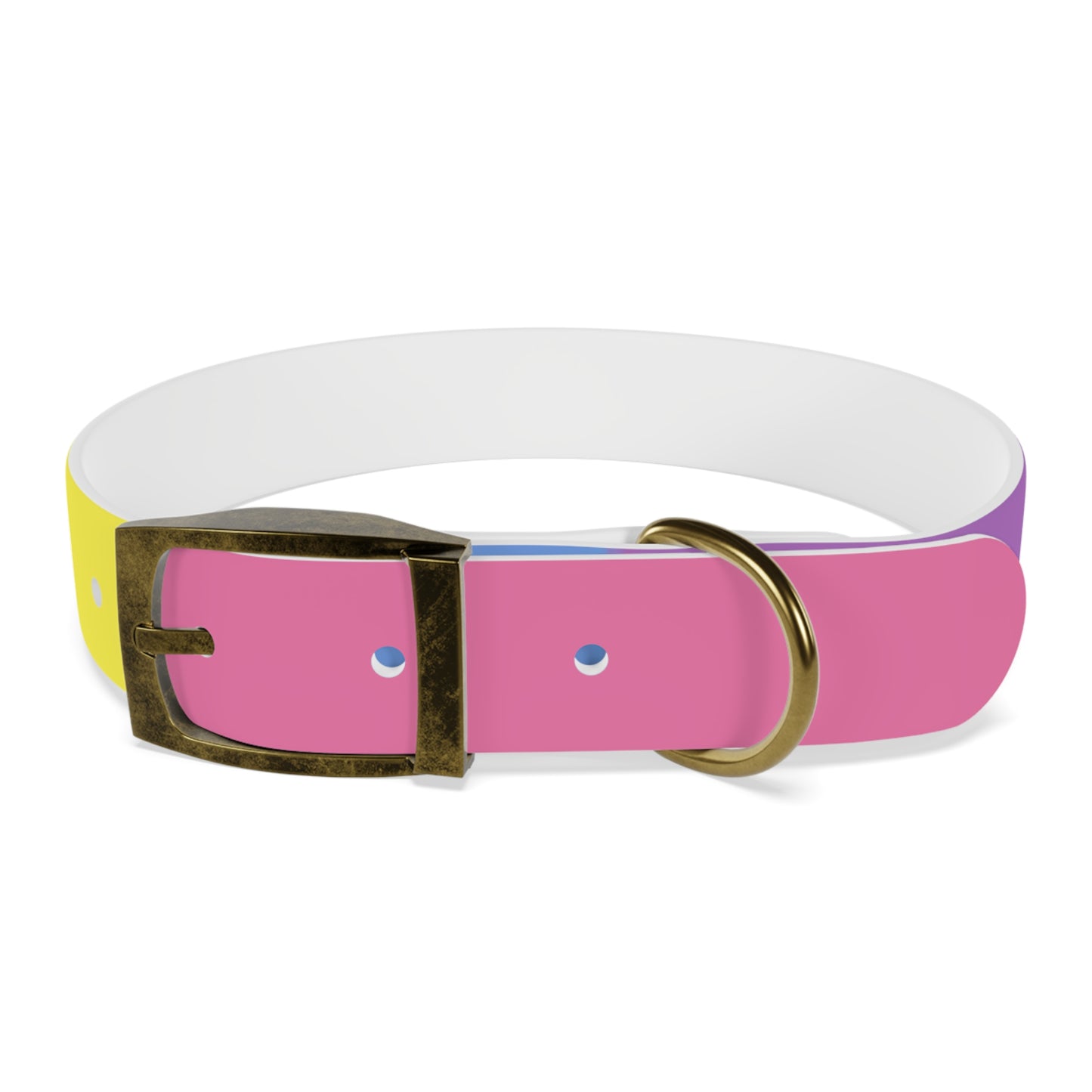 Bigender Pride Flag Dog Collar