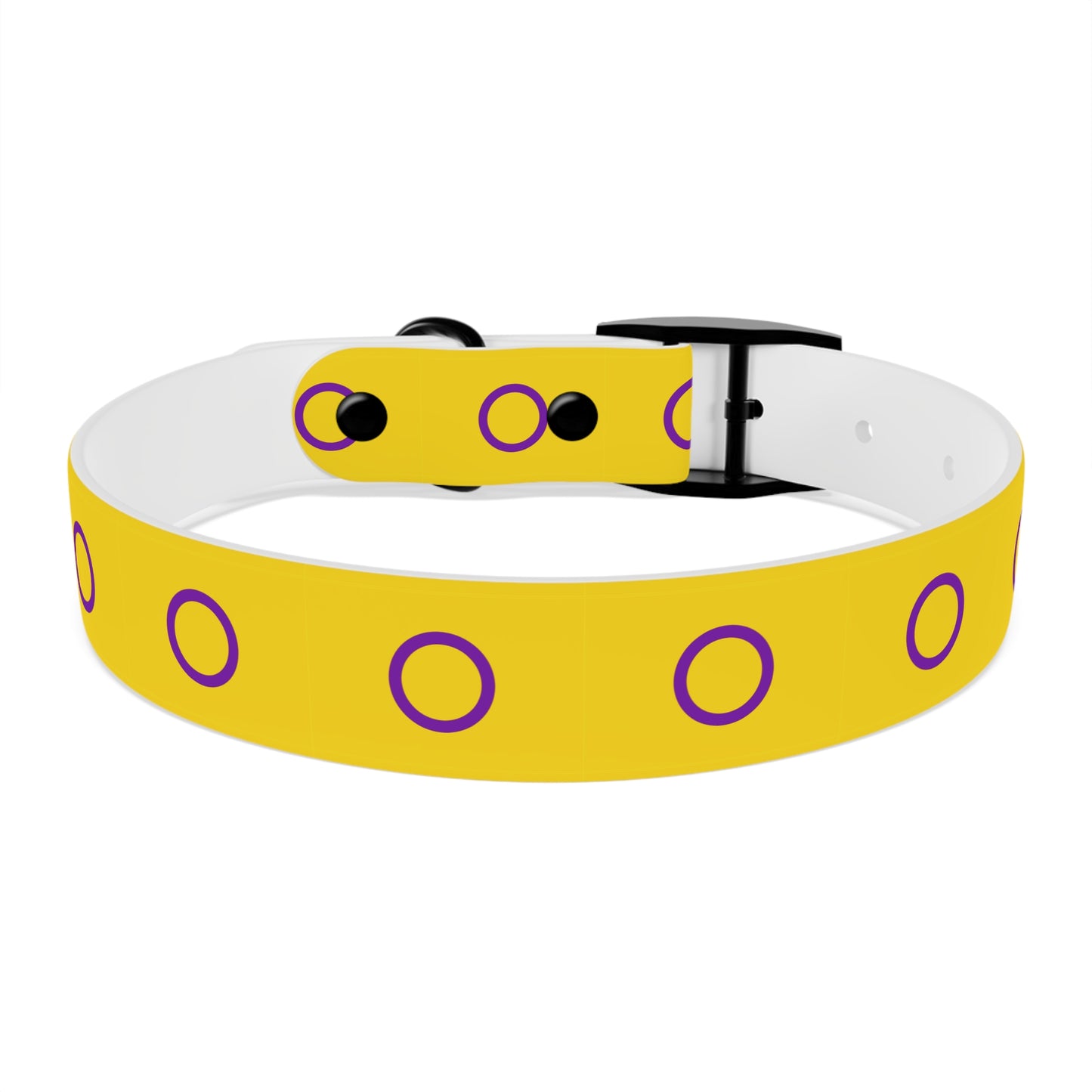 Intersex Pride Flag Dog Collar