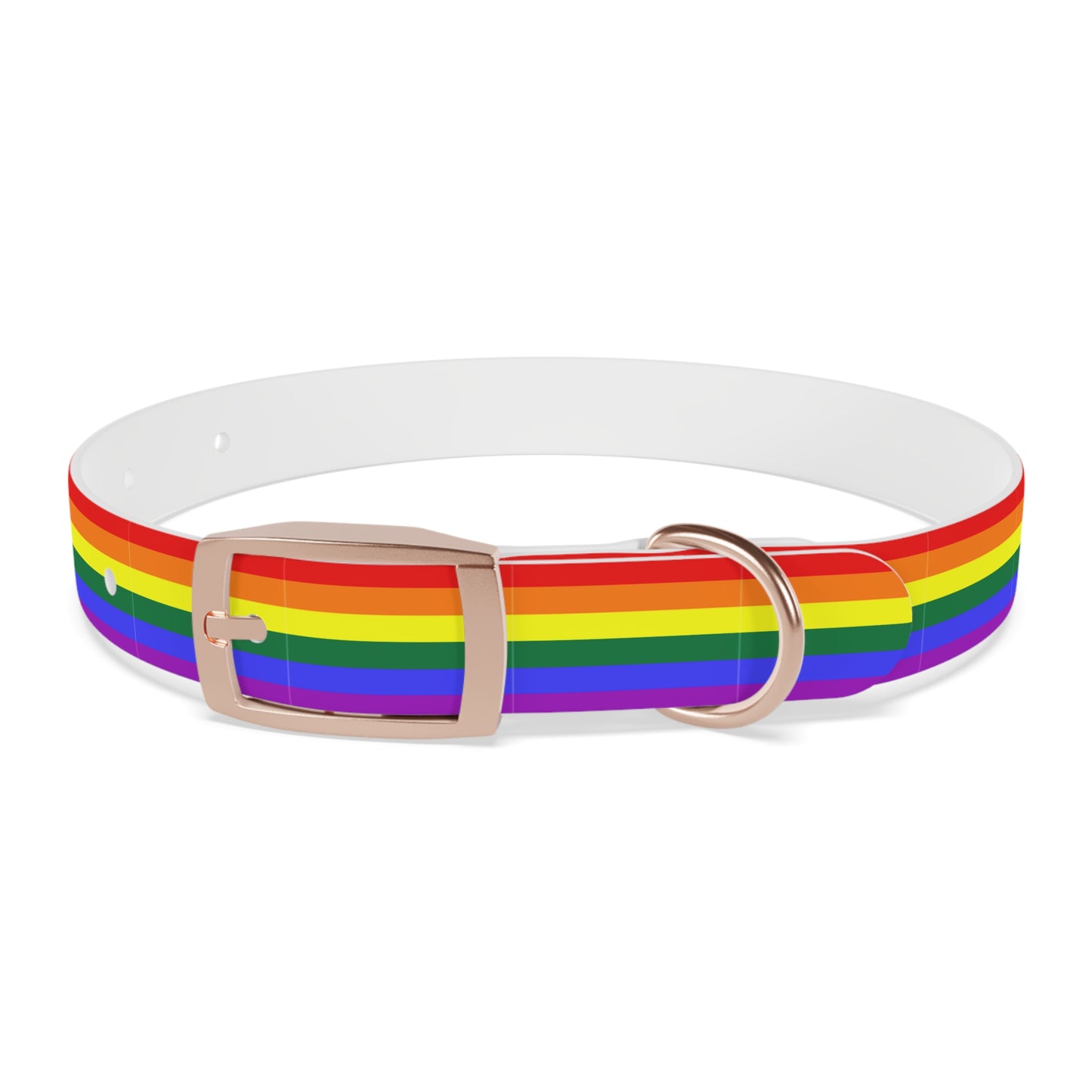 QPOC Pride Flag Dog Collar