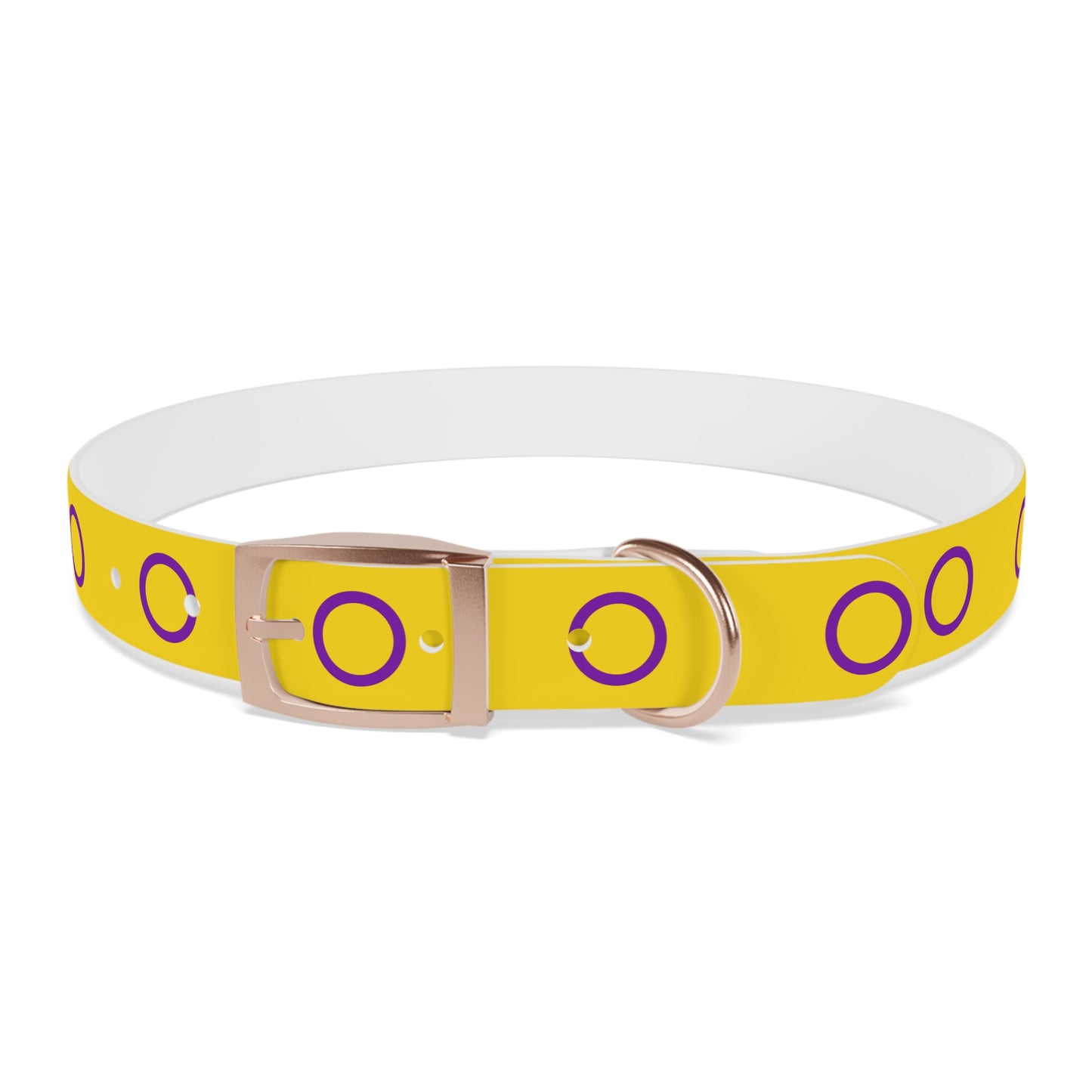 Intersex Pride Flag Dog Collar