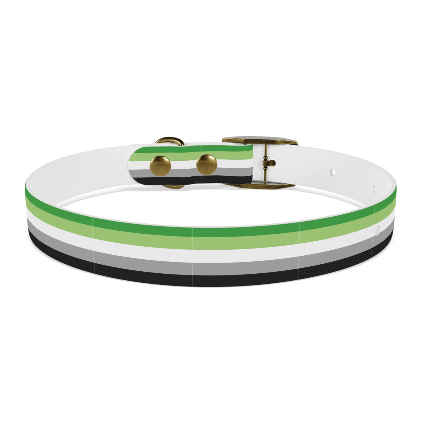Aromantic Pride Flag Dog Collar