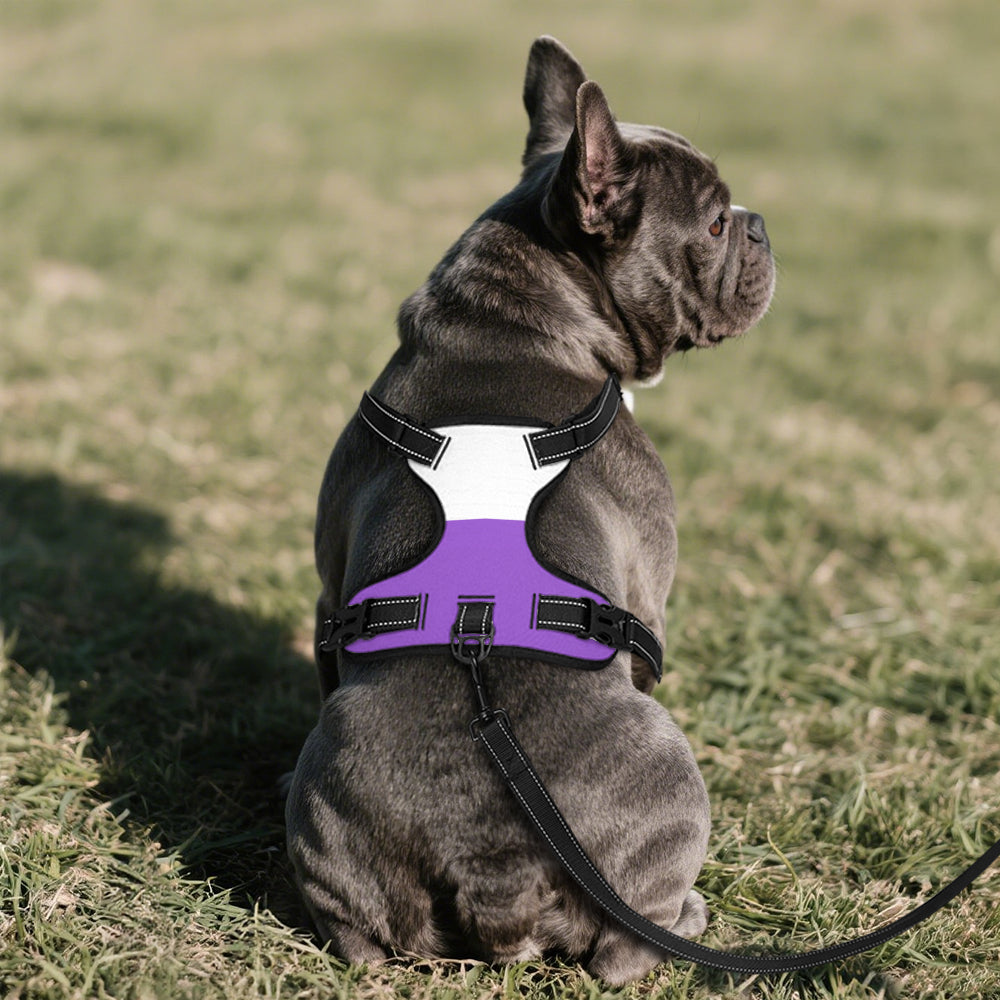 Non-Binary Pride Flag Dog Harness