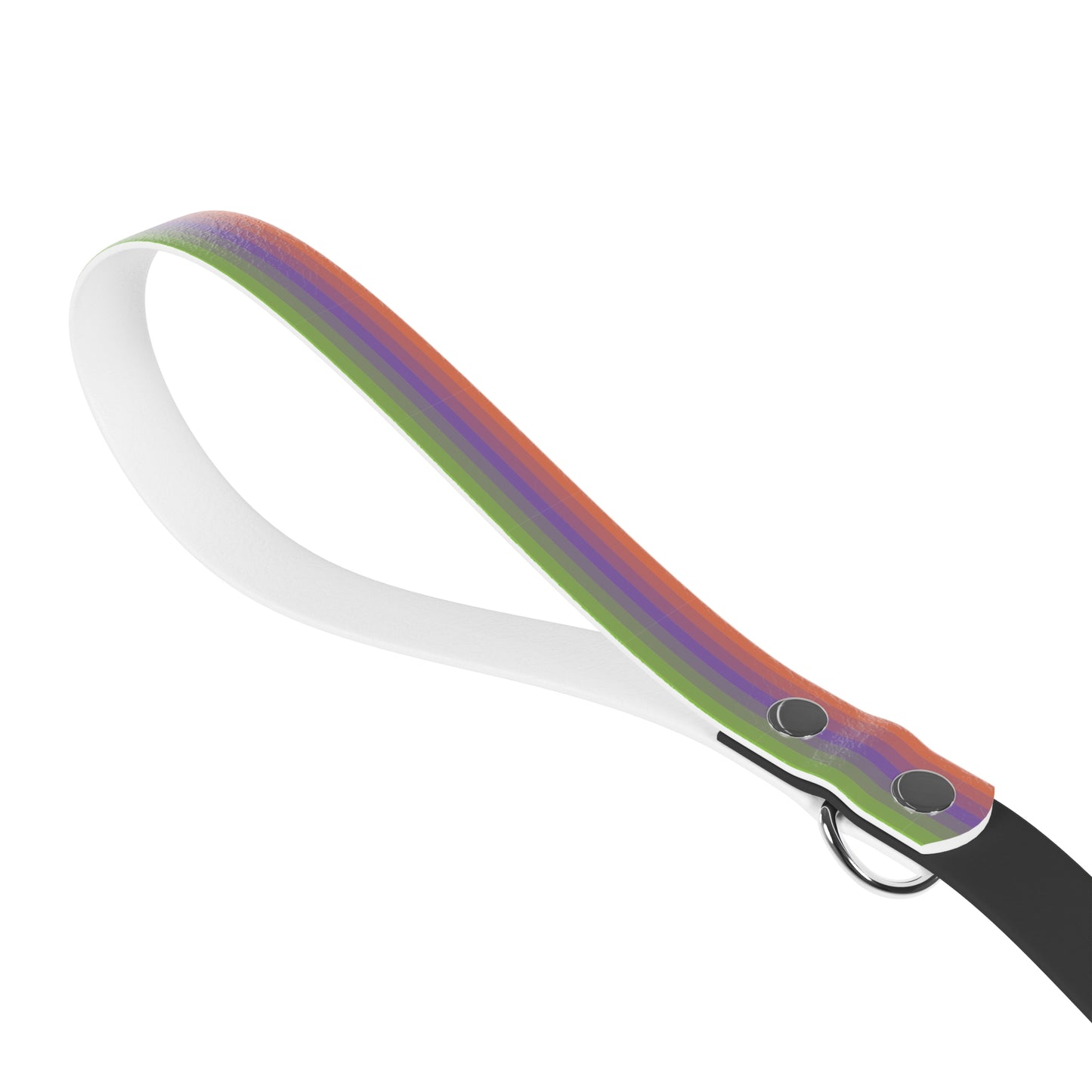 Aliagender Pride Flag Dog Leash