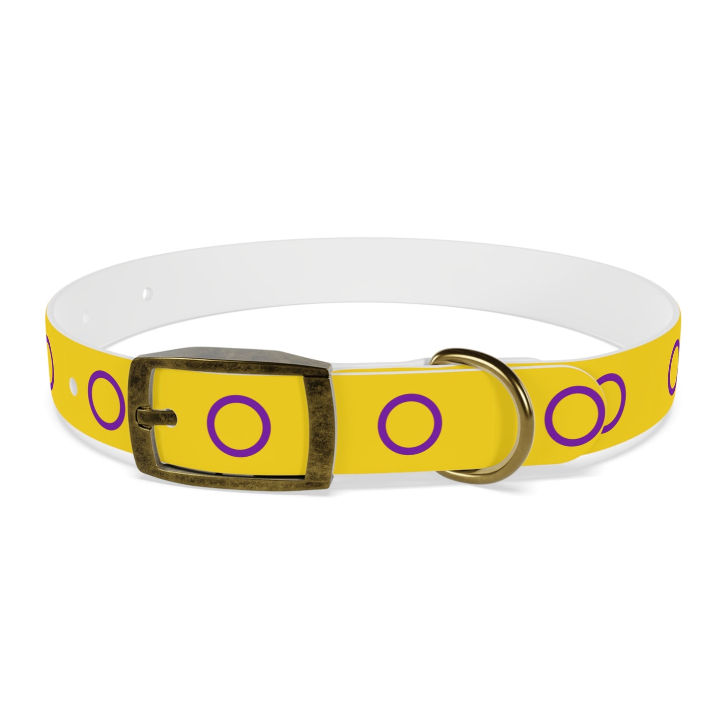 Intersex Pride Flag Dog Collar