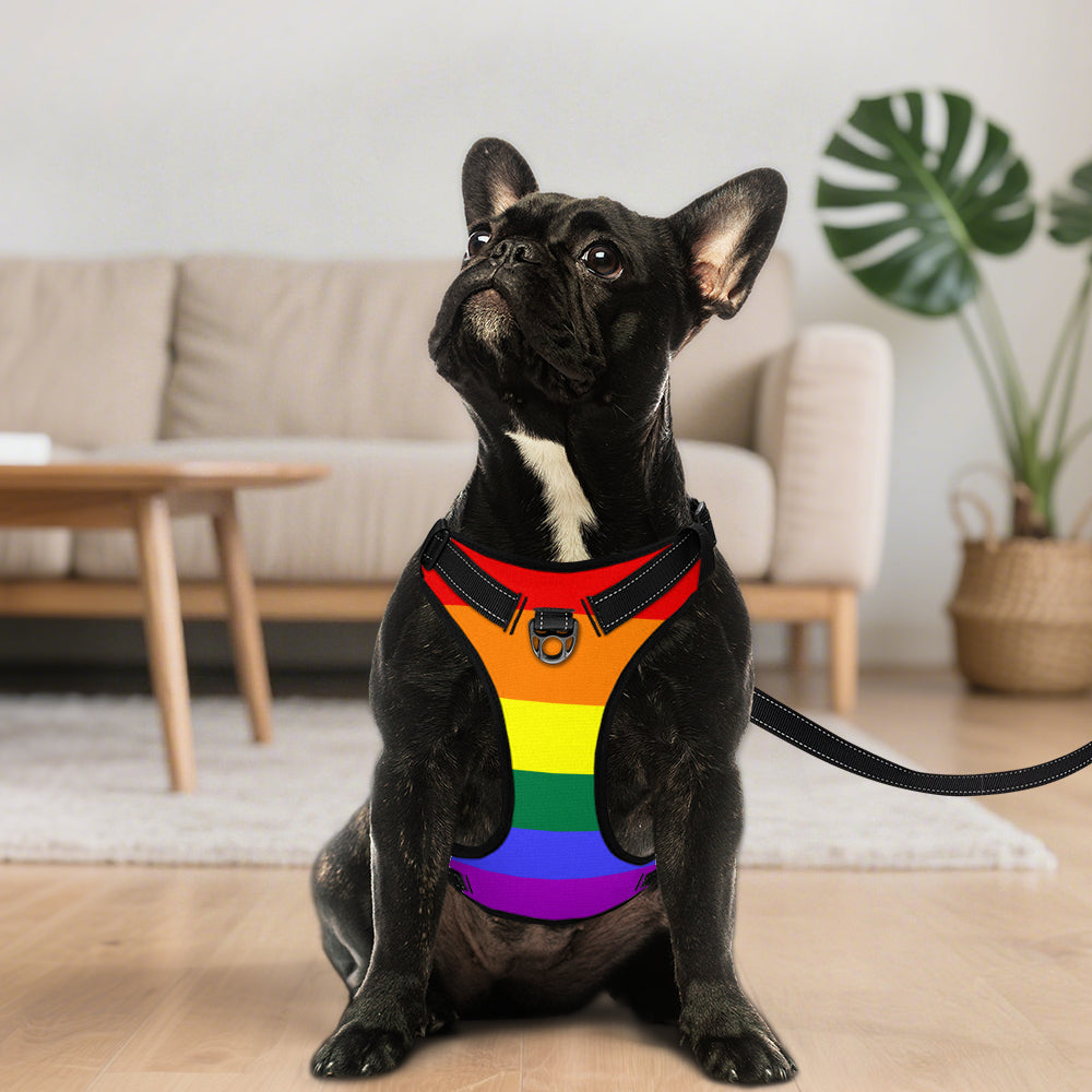 Rainbow Pride Flag Dog Harness