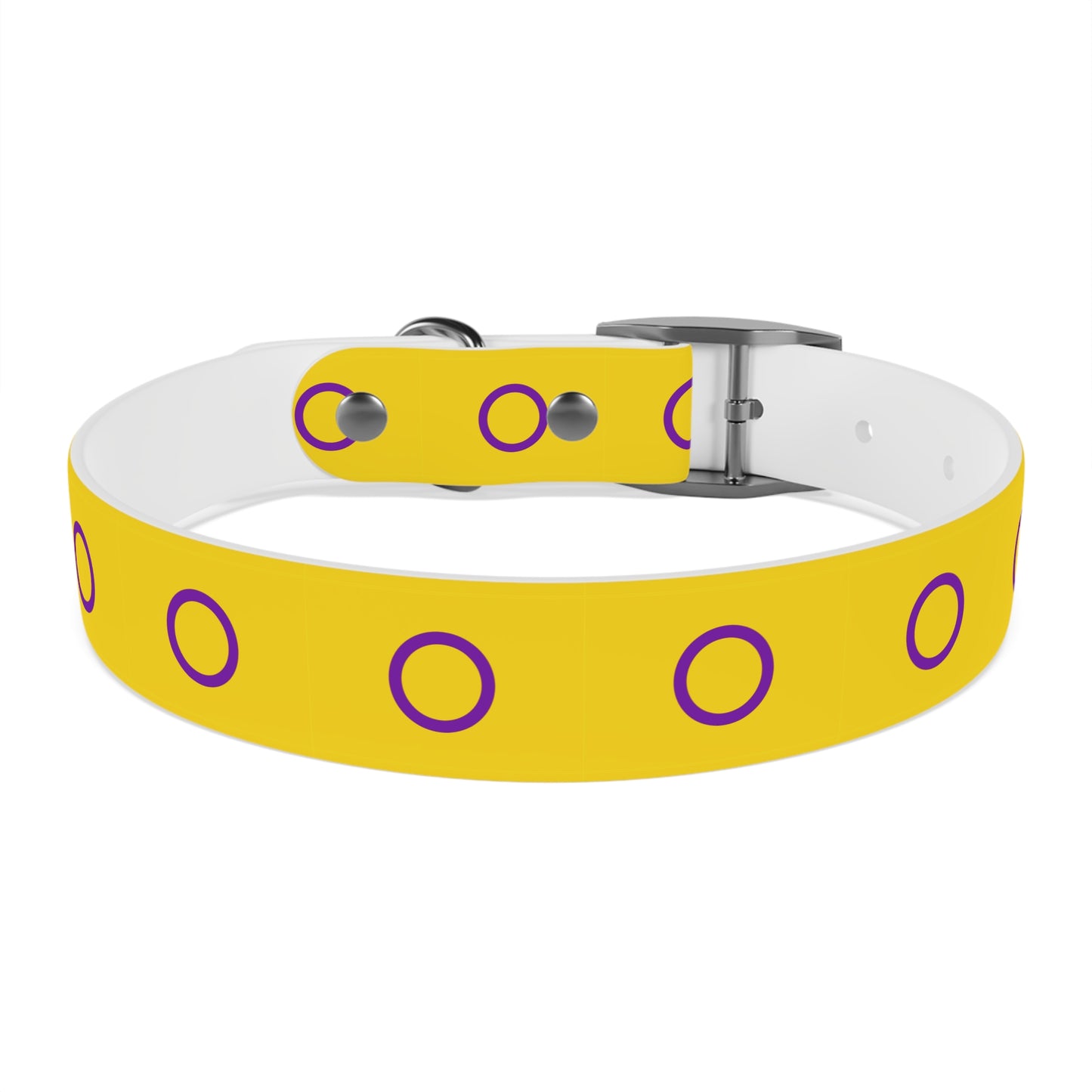 Intersex Pride Flag Dog Collar