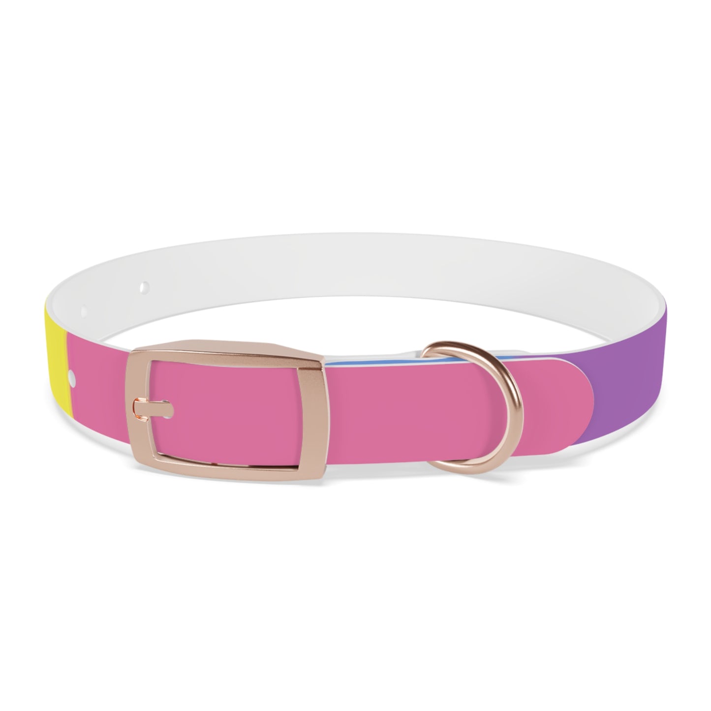 Bigender Pride Flag Dog Collar