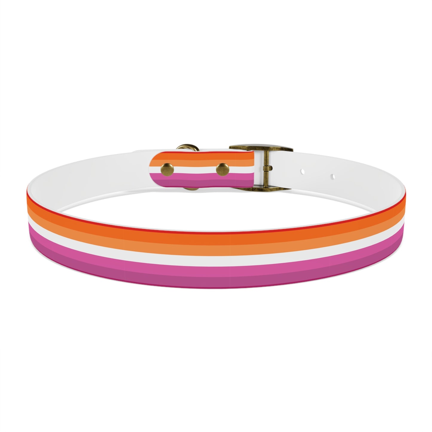 Lesbian Pride Flag Dog Collar