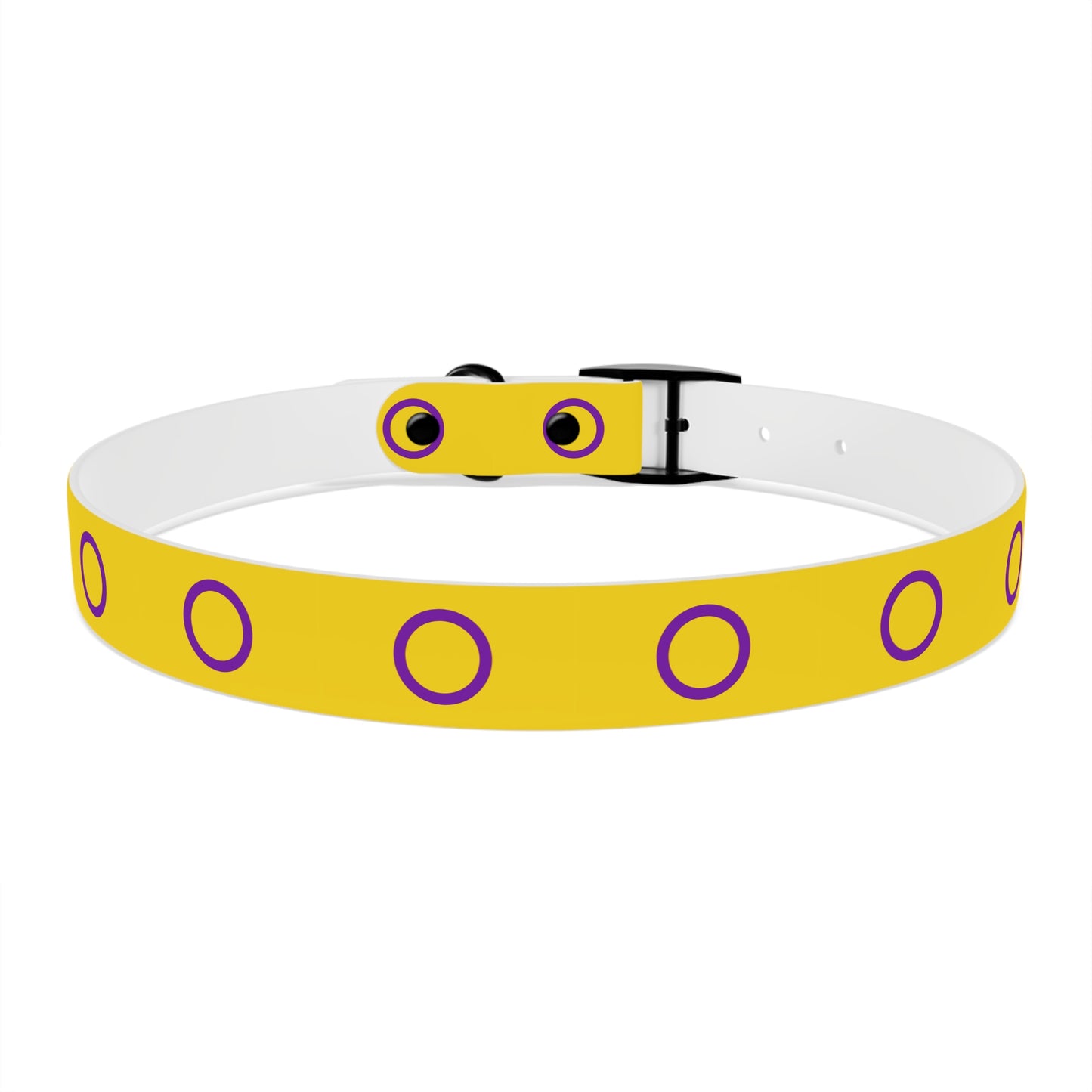 Intersex Pride Flag Dog Collar