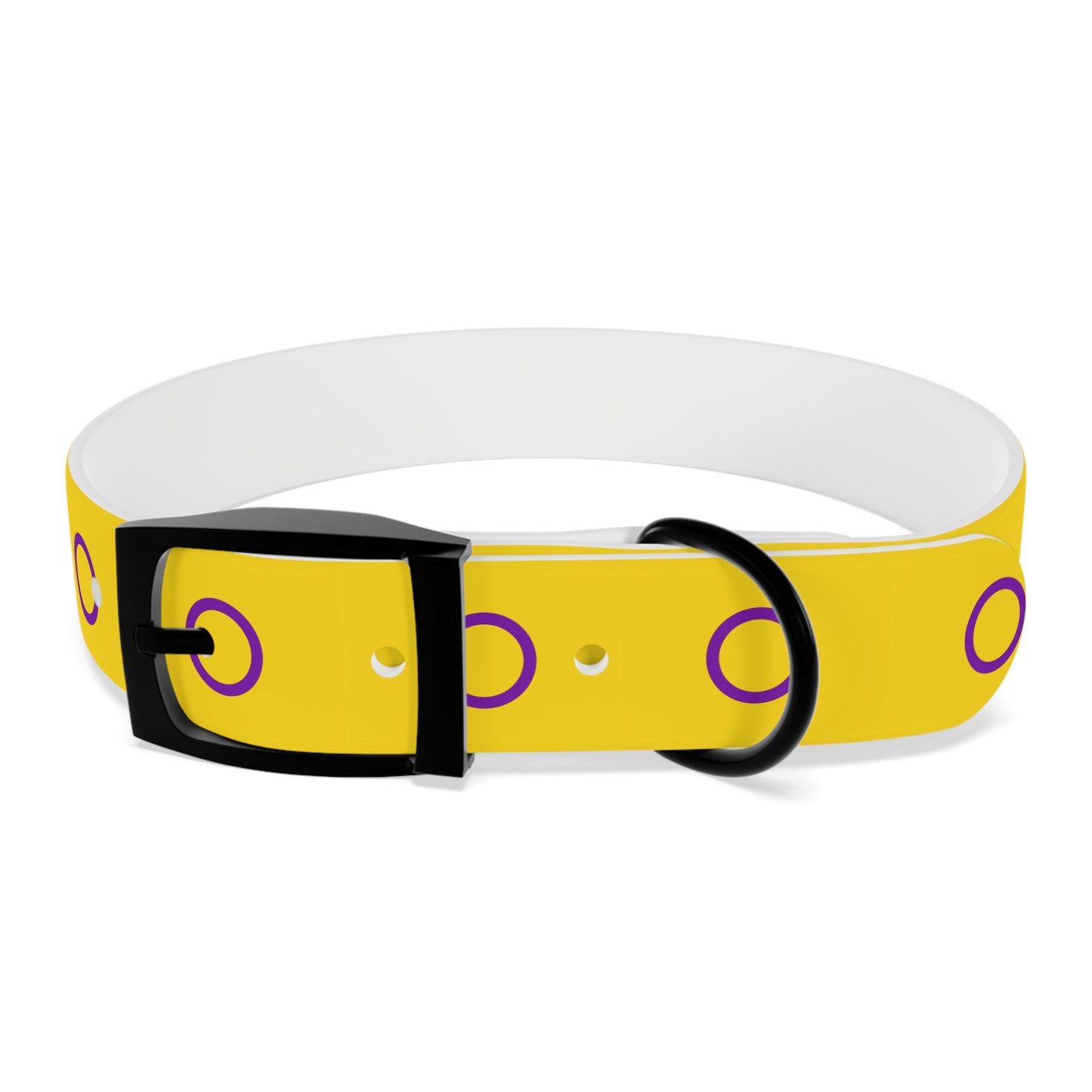 Intersex Pride Flag Dog Collar