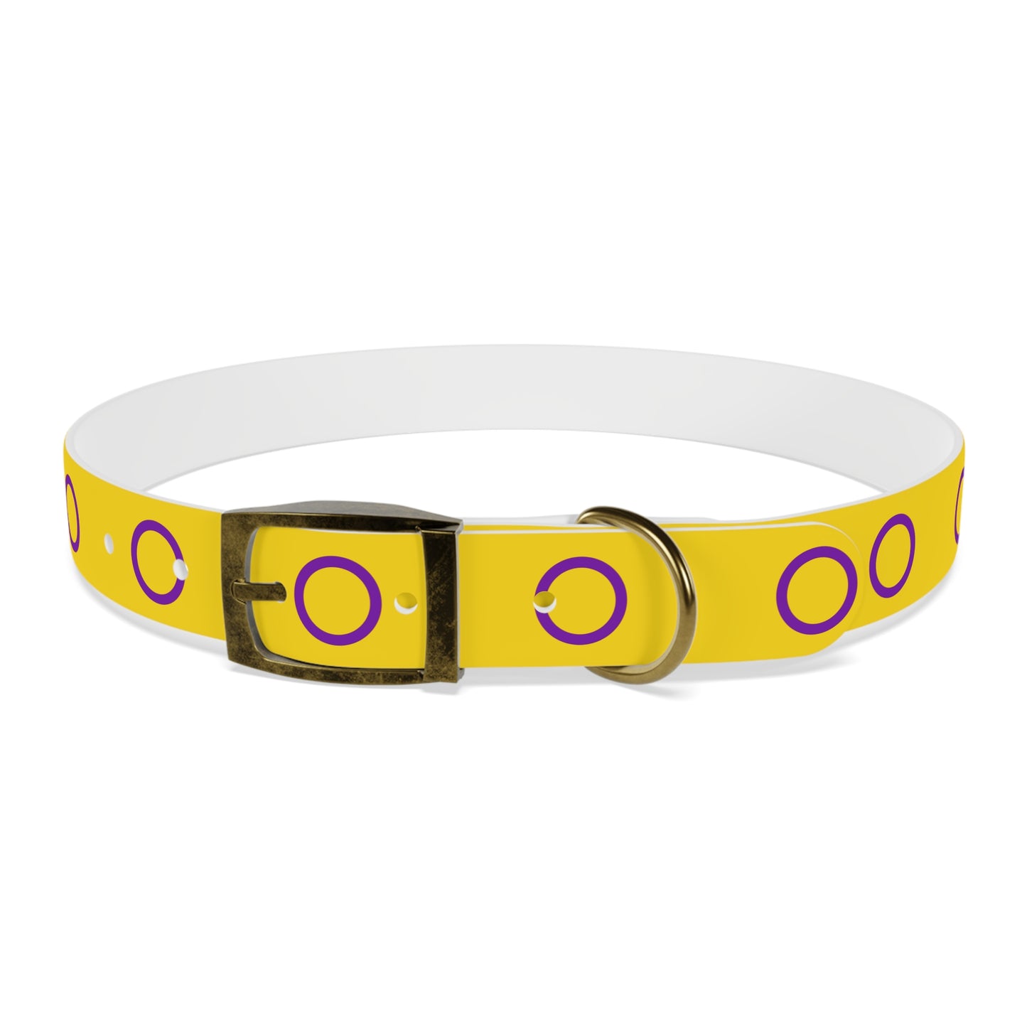 Intersex Pride Flag Dog Collar