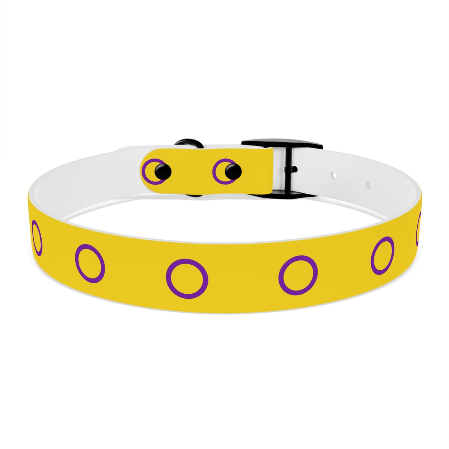 Intersex Pride Flag Dog Collar