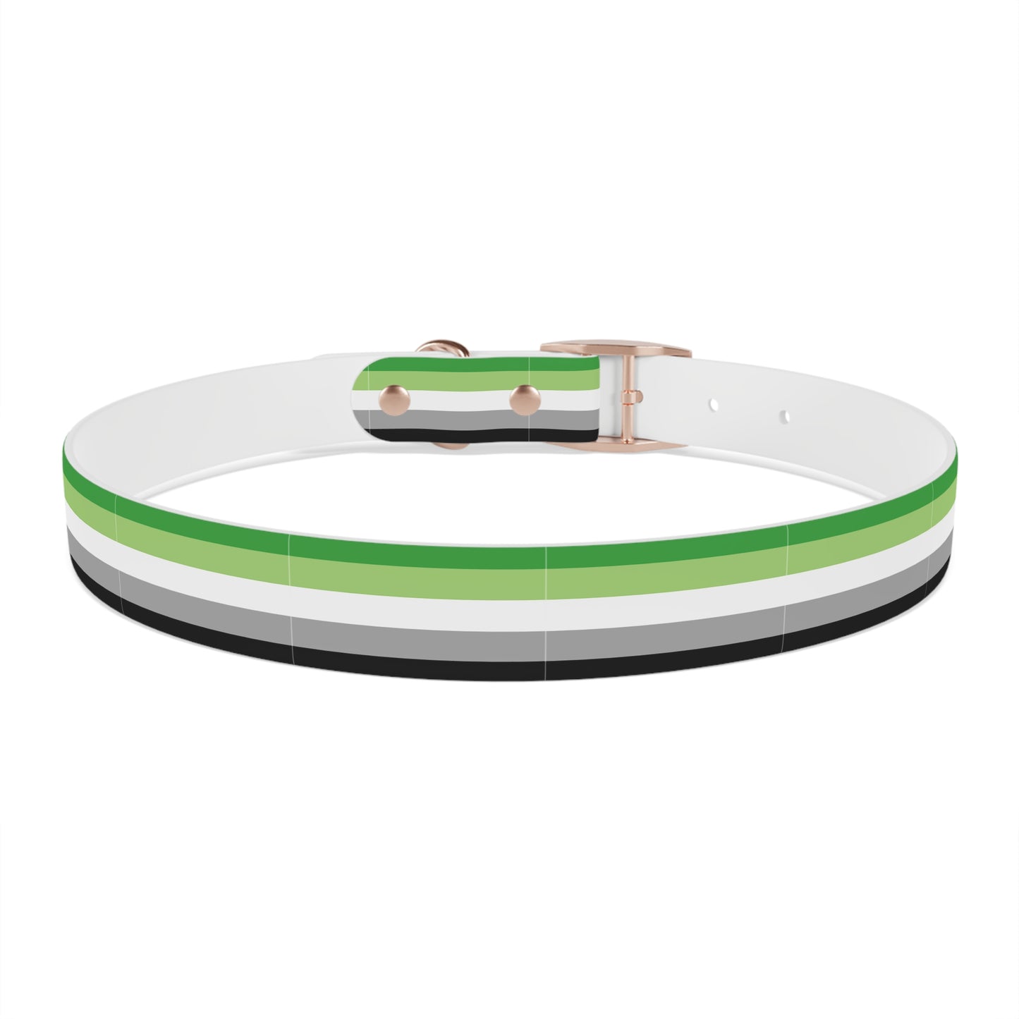 Aromantic Pride Flag Dog Collar