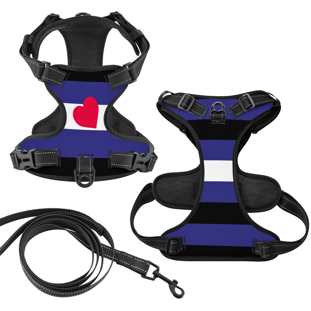 Leather Pride Flag Dog Harness