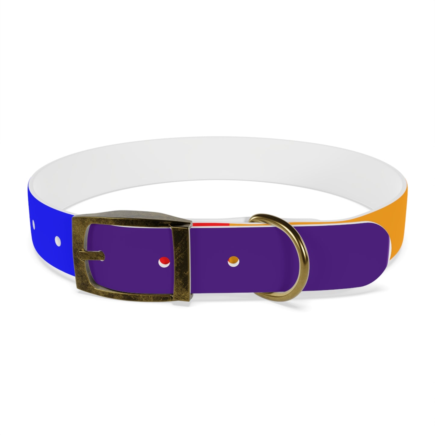 Radical Pet Dog Collar
