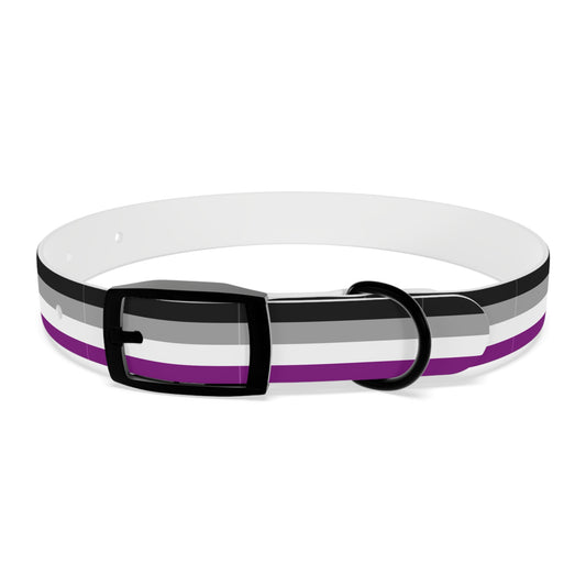 Asexual Pride Flag Dog Collar