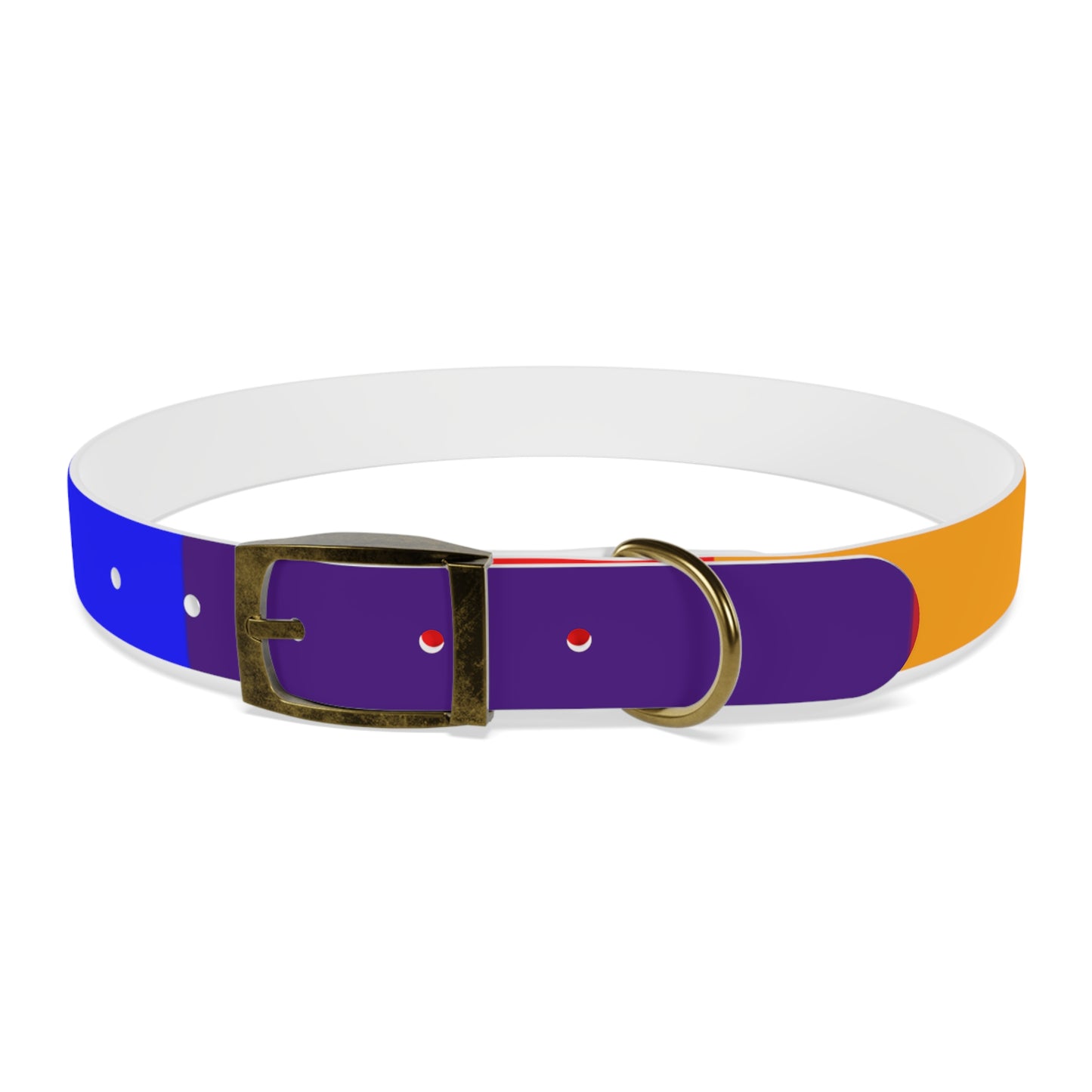 Radical Pet Dog Collar