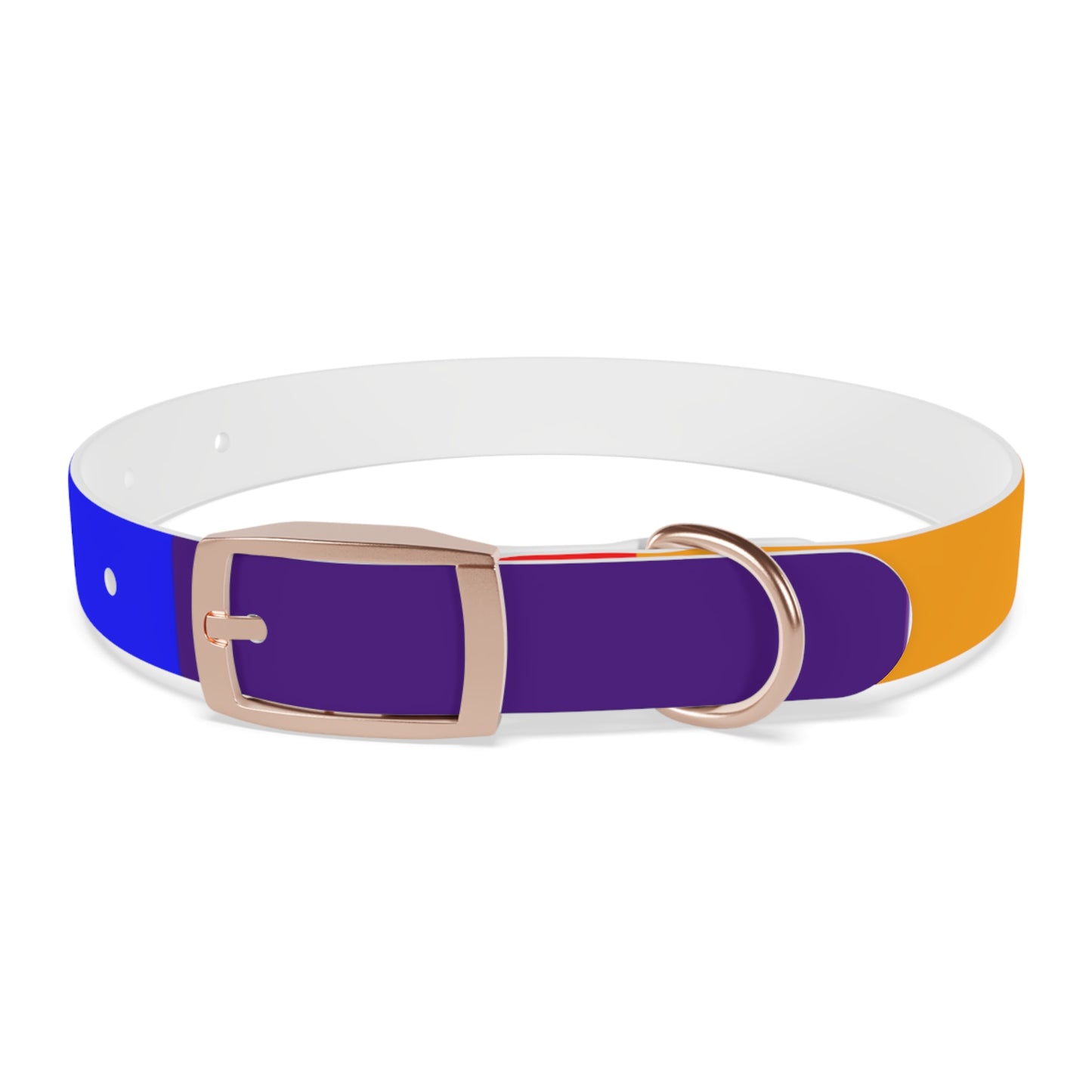 Radical Pet Dog Collar