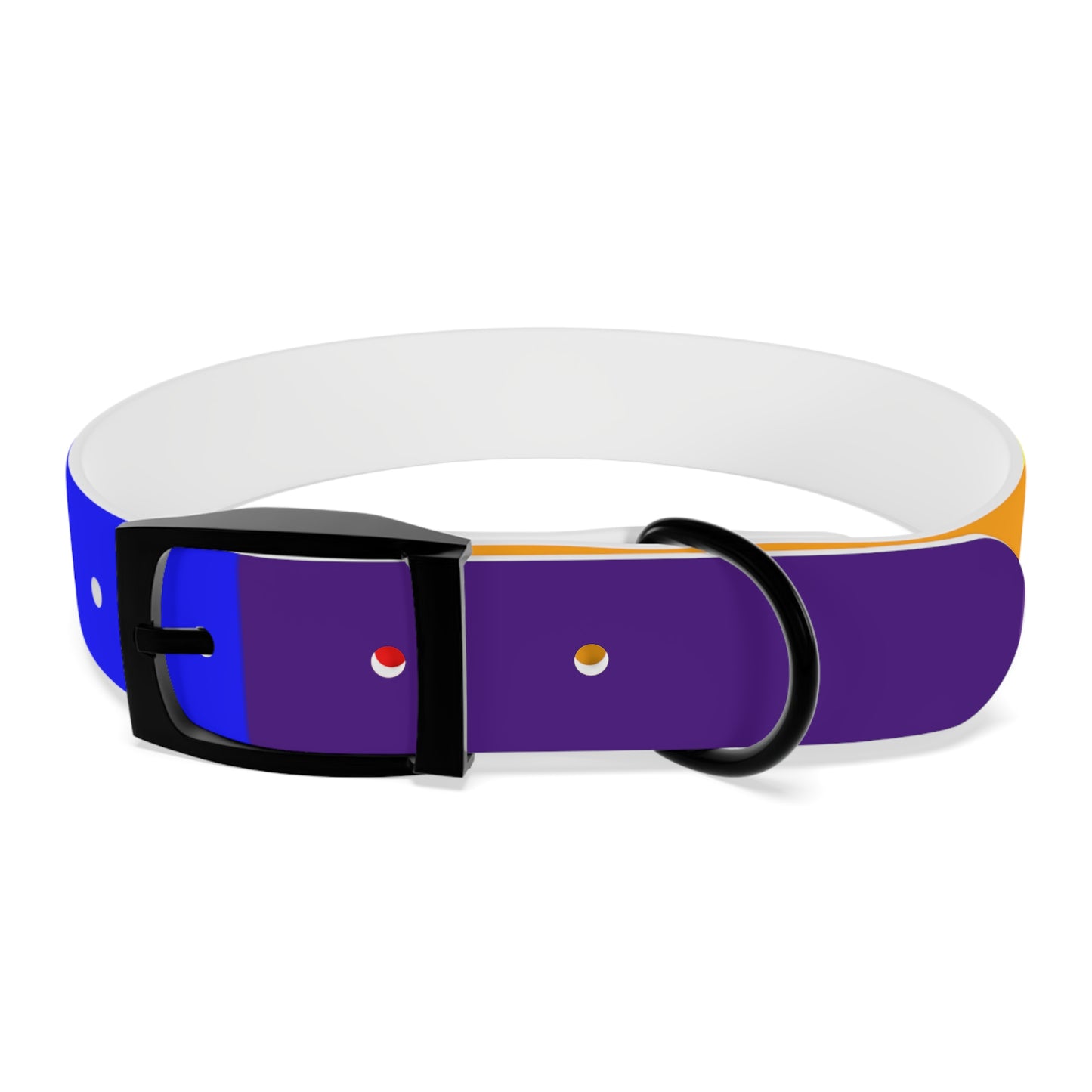 Radical Pet Dog Collar