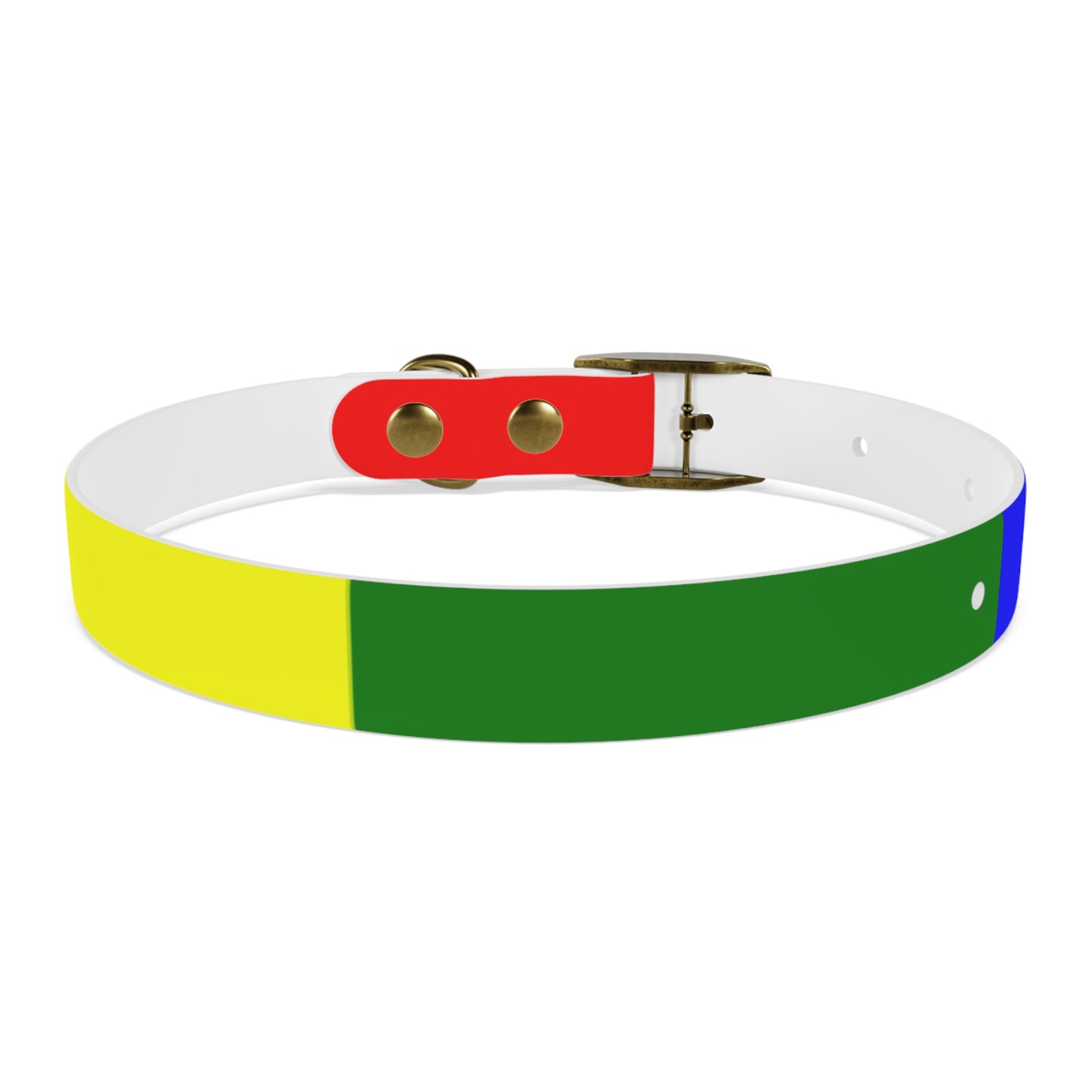 Radical Pet Dog Collar