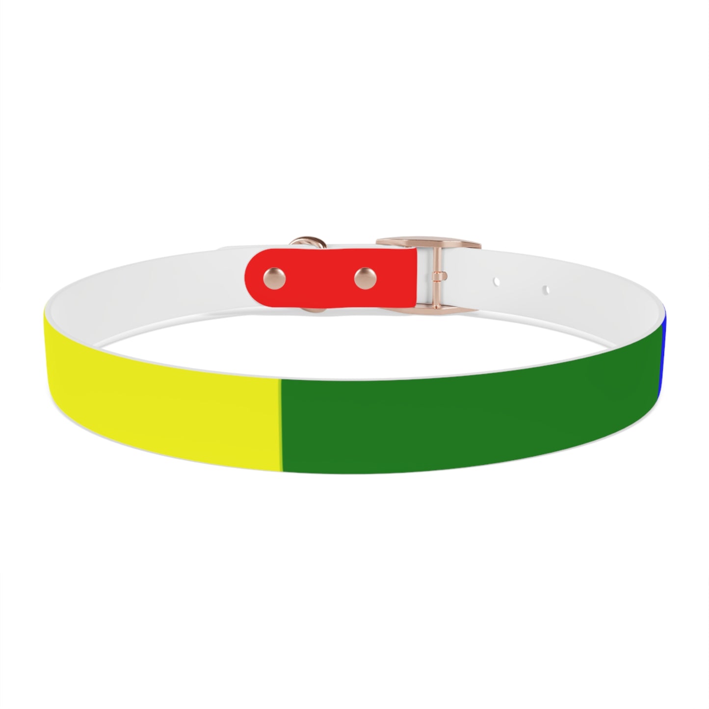 Radical Pet Dog Collar