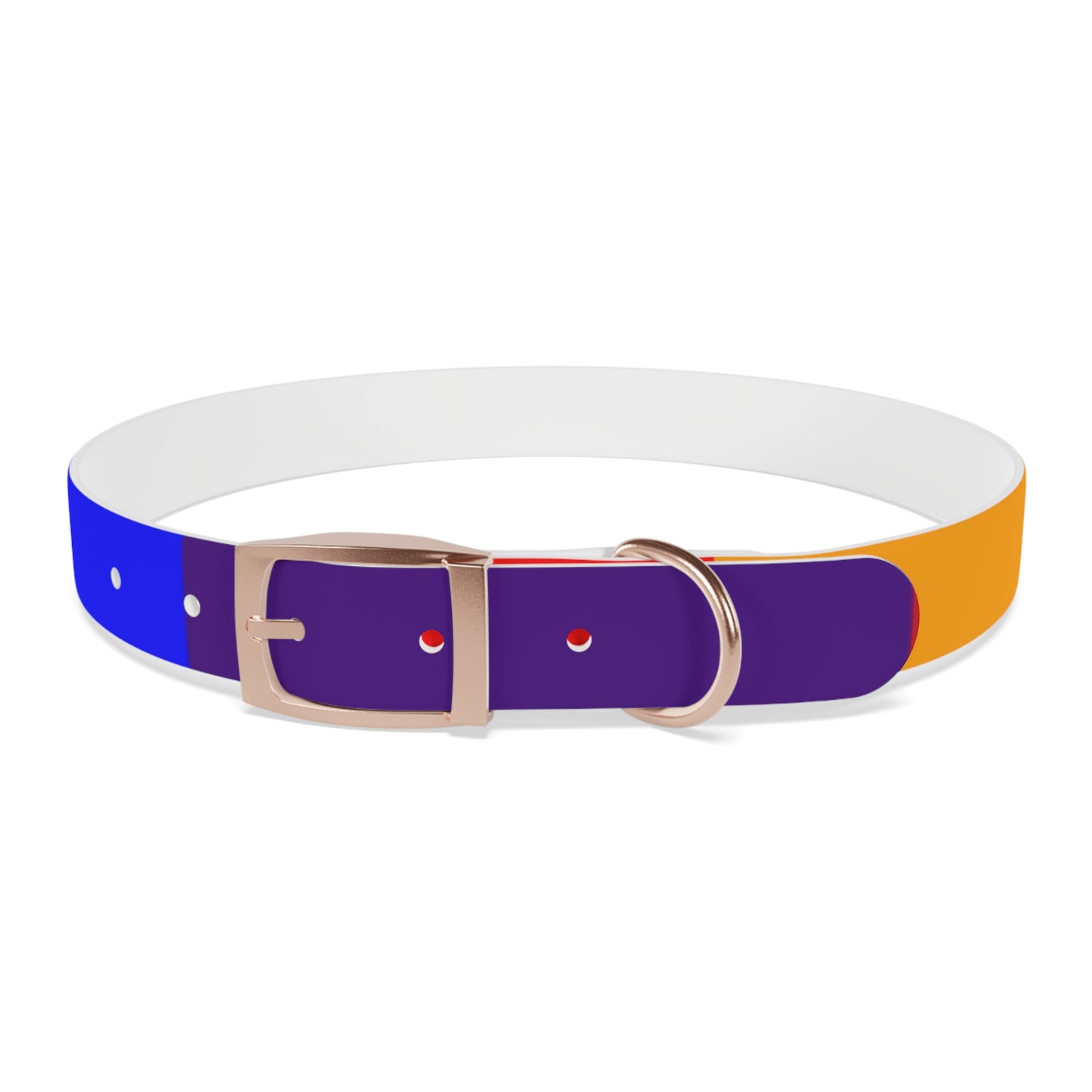 Radical Pet Dog Collar