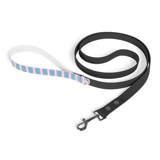 Transgender Pride Flag Dog Leash