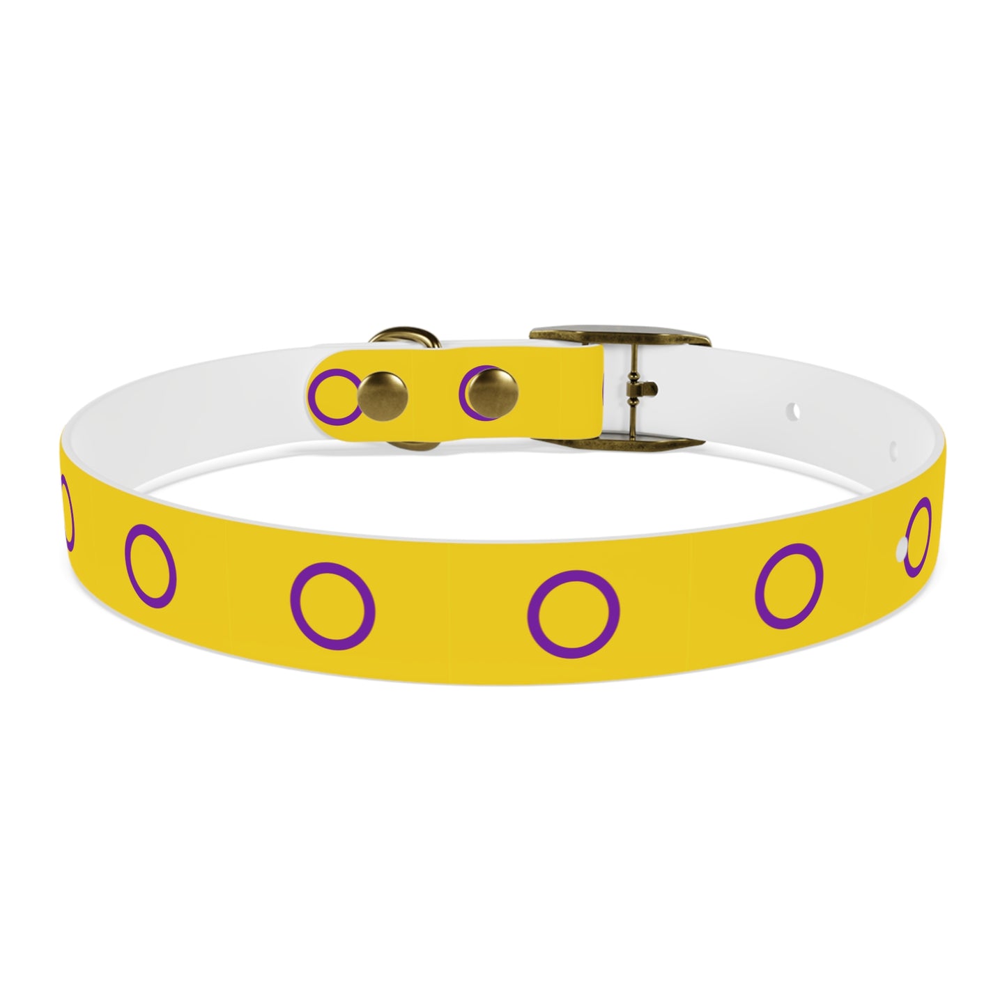 Intersex Pride Flag Dog Collar