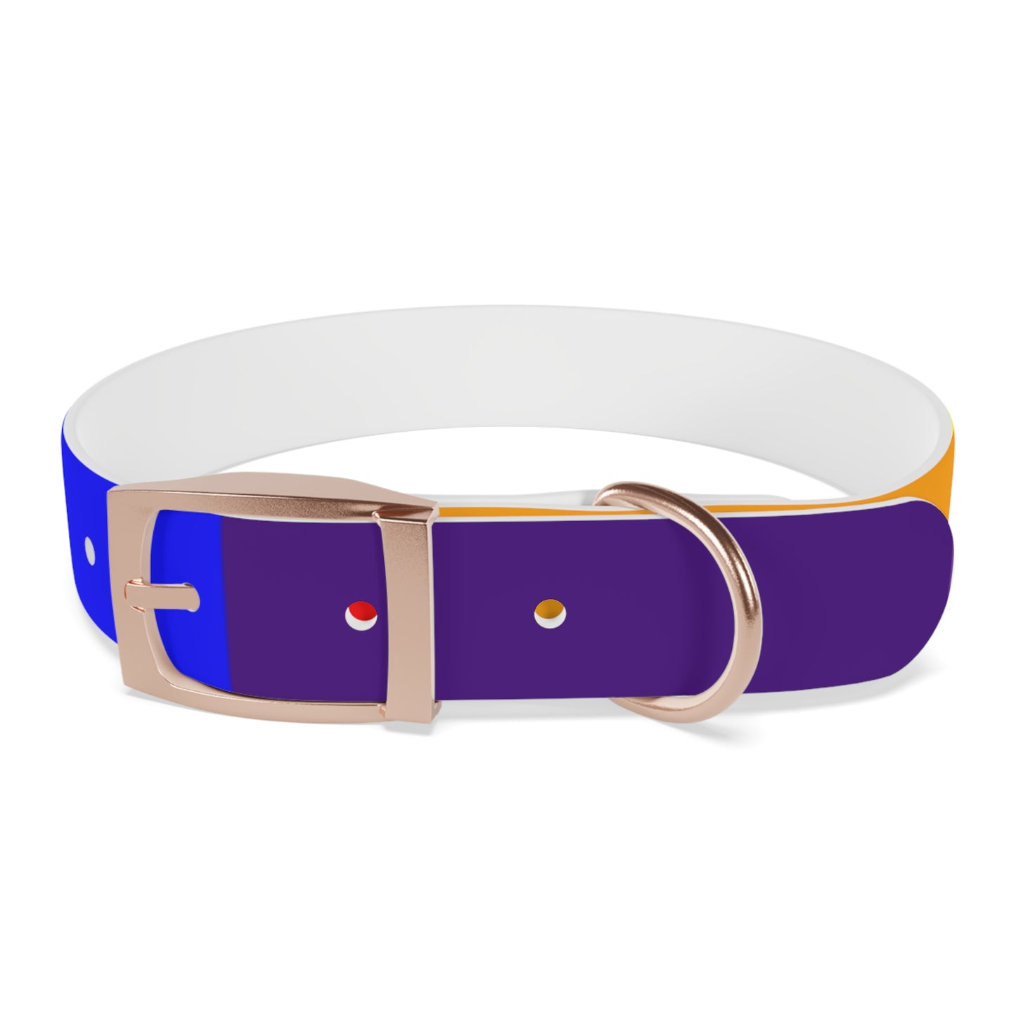 Radical Pet Dog Collar