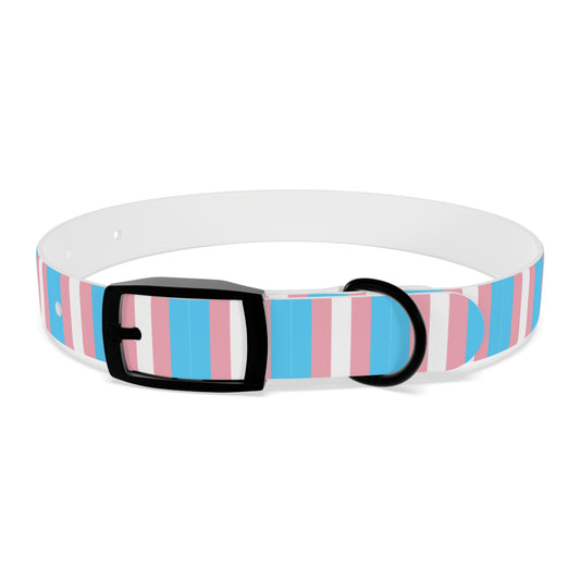 Transgender Pride Flag Dog Collar