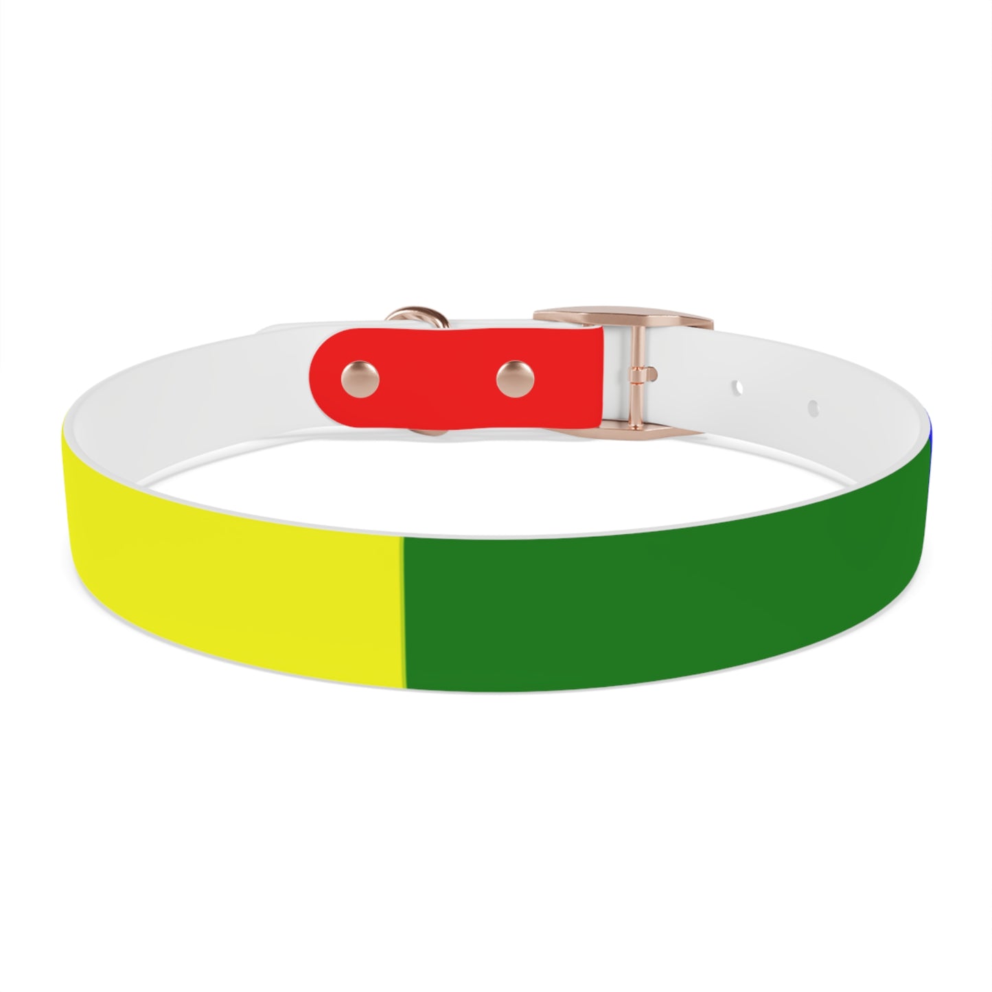 Radical Pet Dog Collar