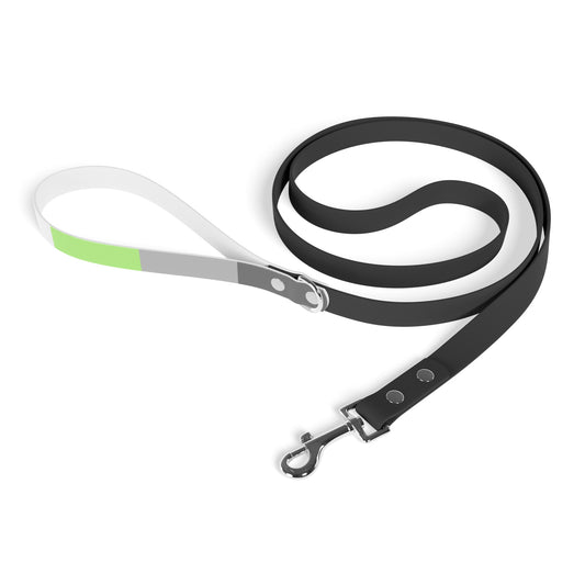 Demiagender Pride Flag Dog Leash