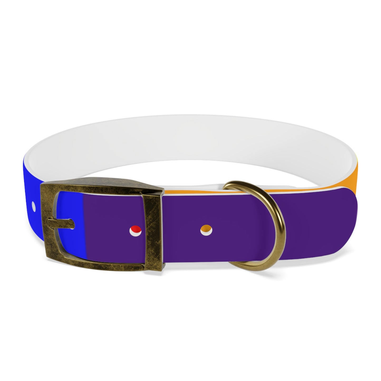Radical Pet Dog Collar