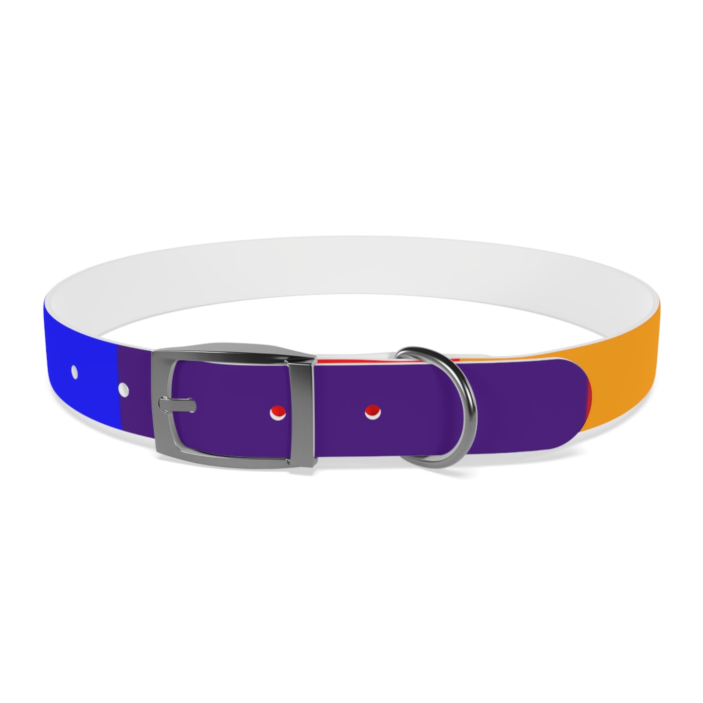 Radical Pet Dog Collar