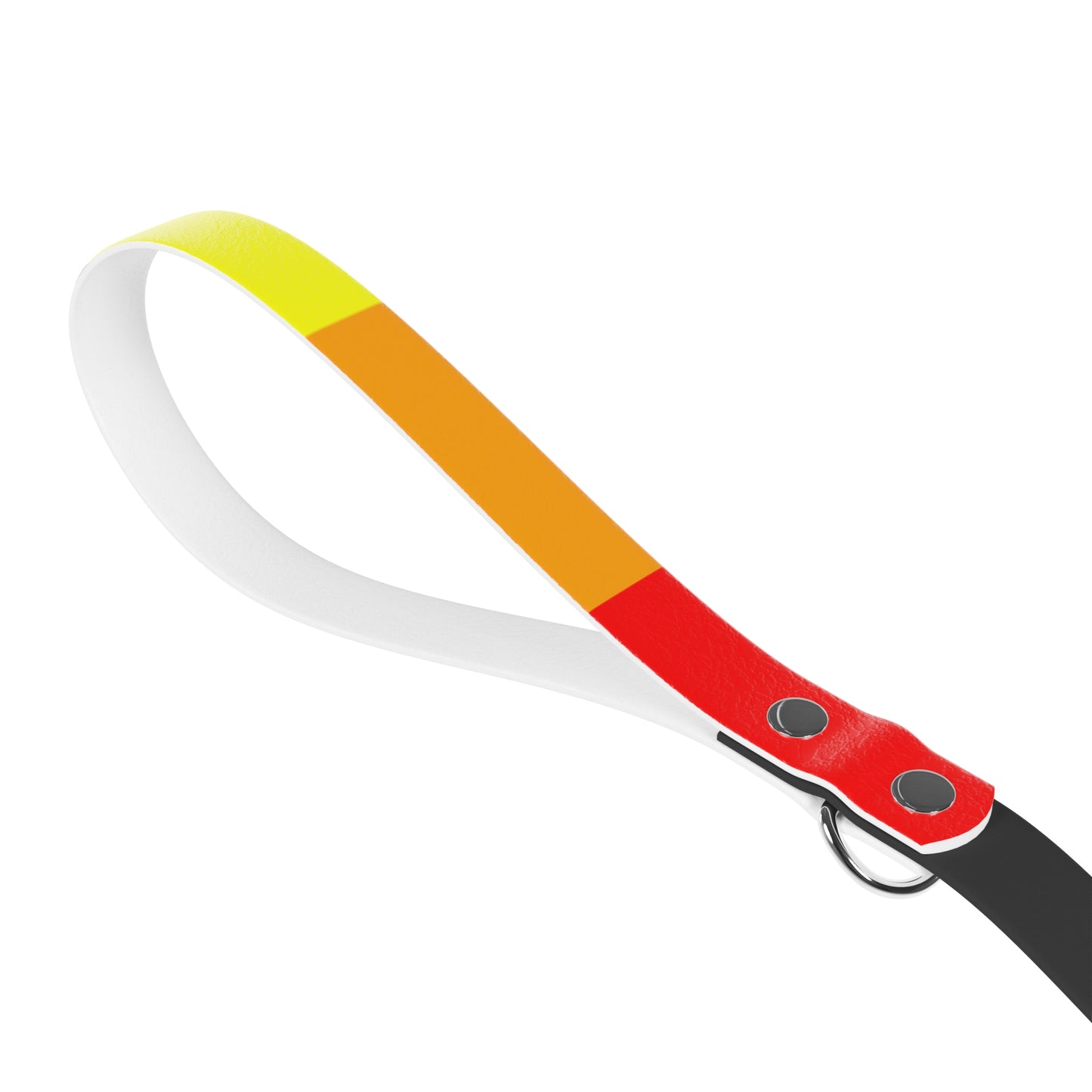 Radical Pet Dog Leash