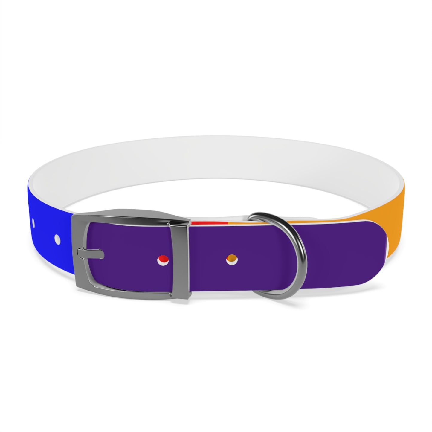Radical Pet Dog Collar