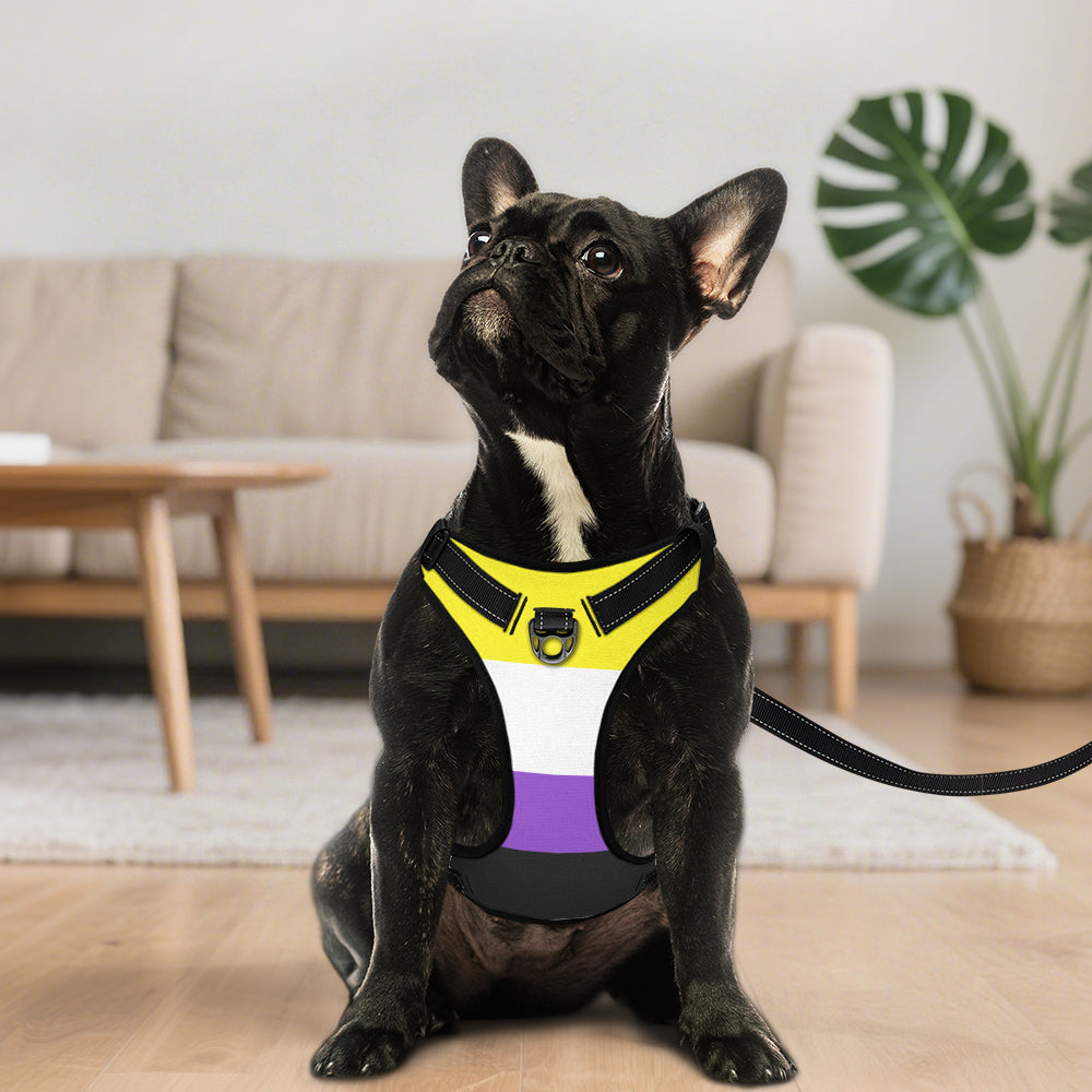 Non-Binary Pride Flag Dog Harness