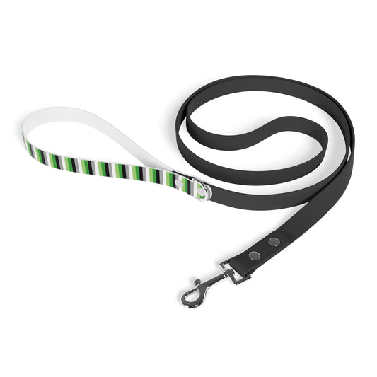 Aromantic Pride Flag Dog Leash