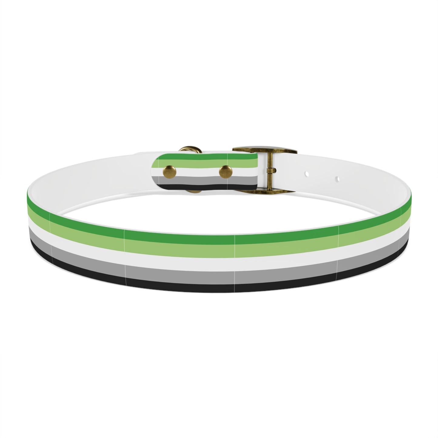 Aromantic Pride Flag Dog Collar